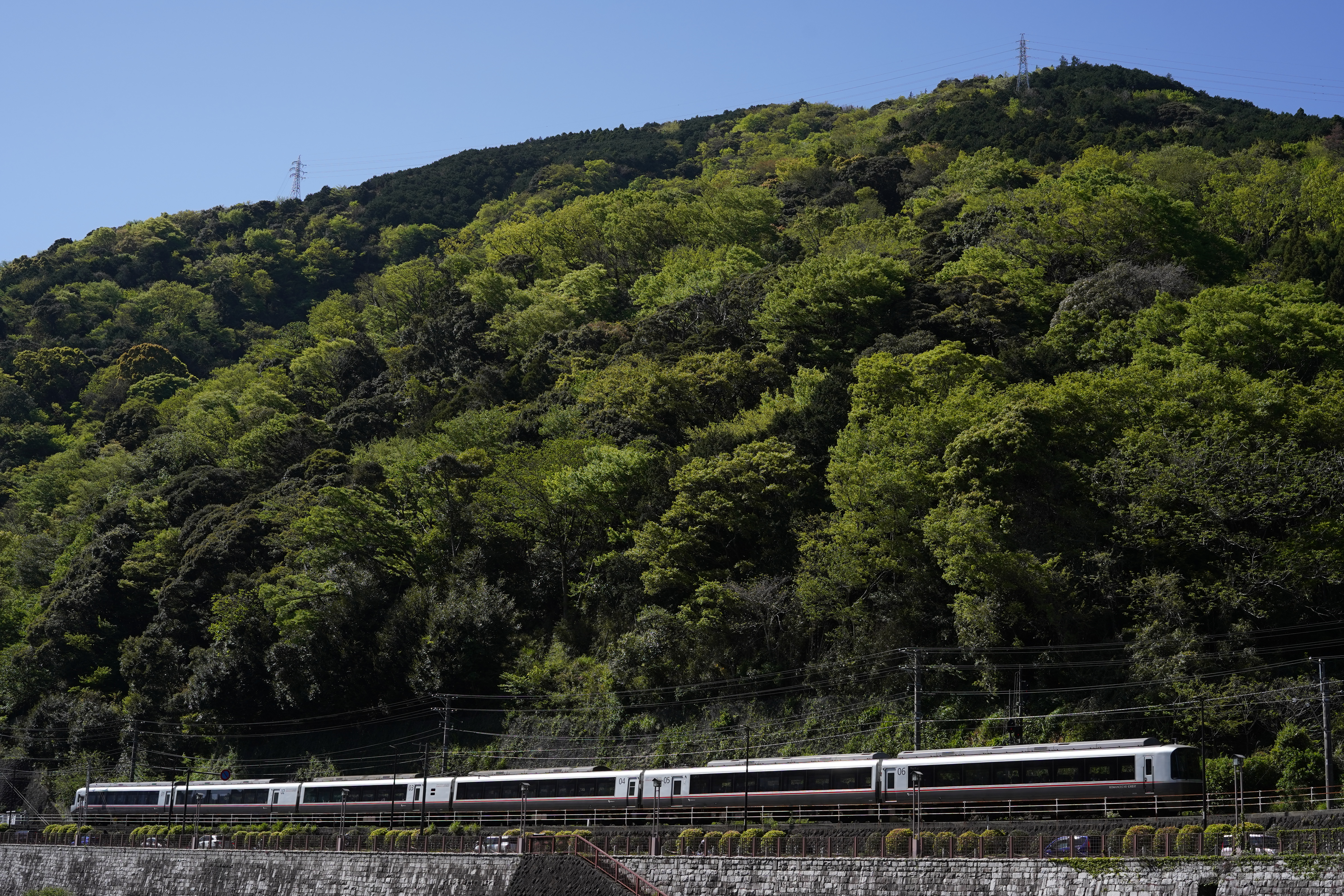 α7C／SIGMA 50mm F2 DG DN | Contemporary／絞り優先AE（1/800秒・F8.0・-1.0EV）／ISO 320