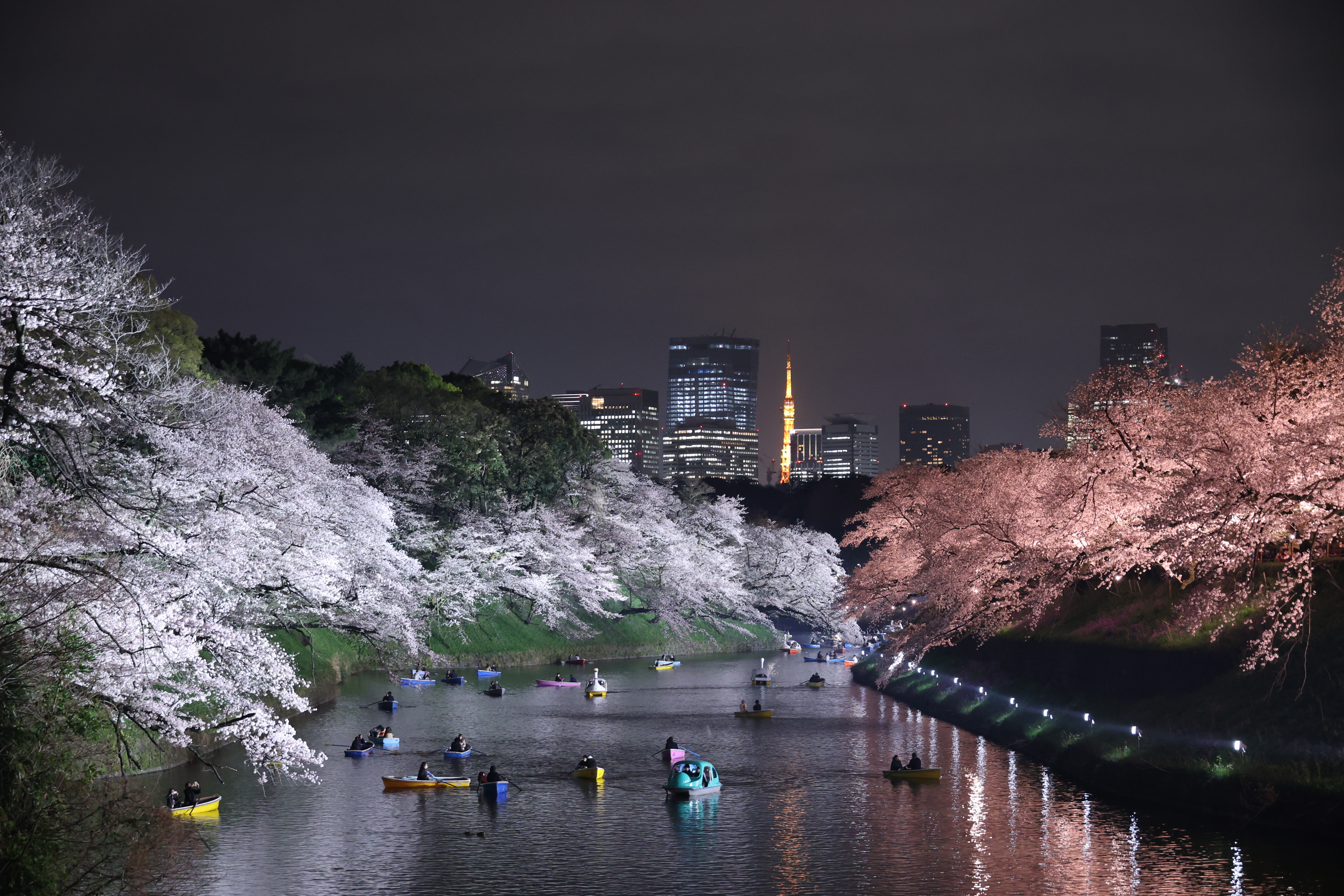 EOS R8／RF24-240mm F4-6.3 IS USM／76mm／プログラムAE（1/13秒・F5.6・±0EV）ISO 4000