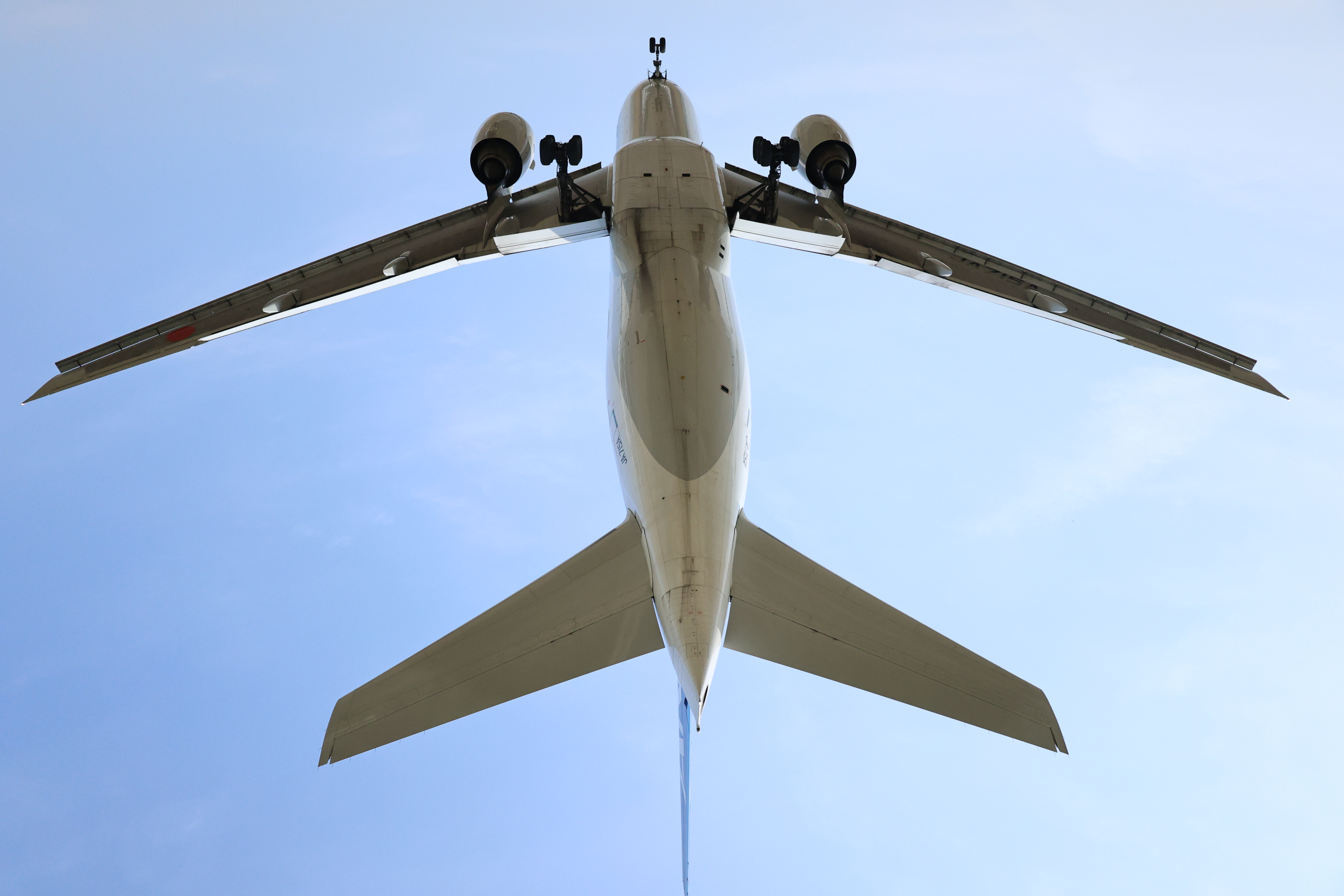 EOS R8／RF24-240mm F4-6.3 IS USM／24mm／シャッター速度優先AE（1/16,000秒・F5.0・+1EV）ISO 2500