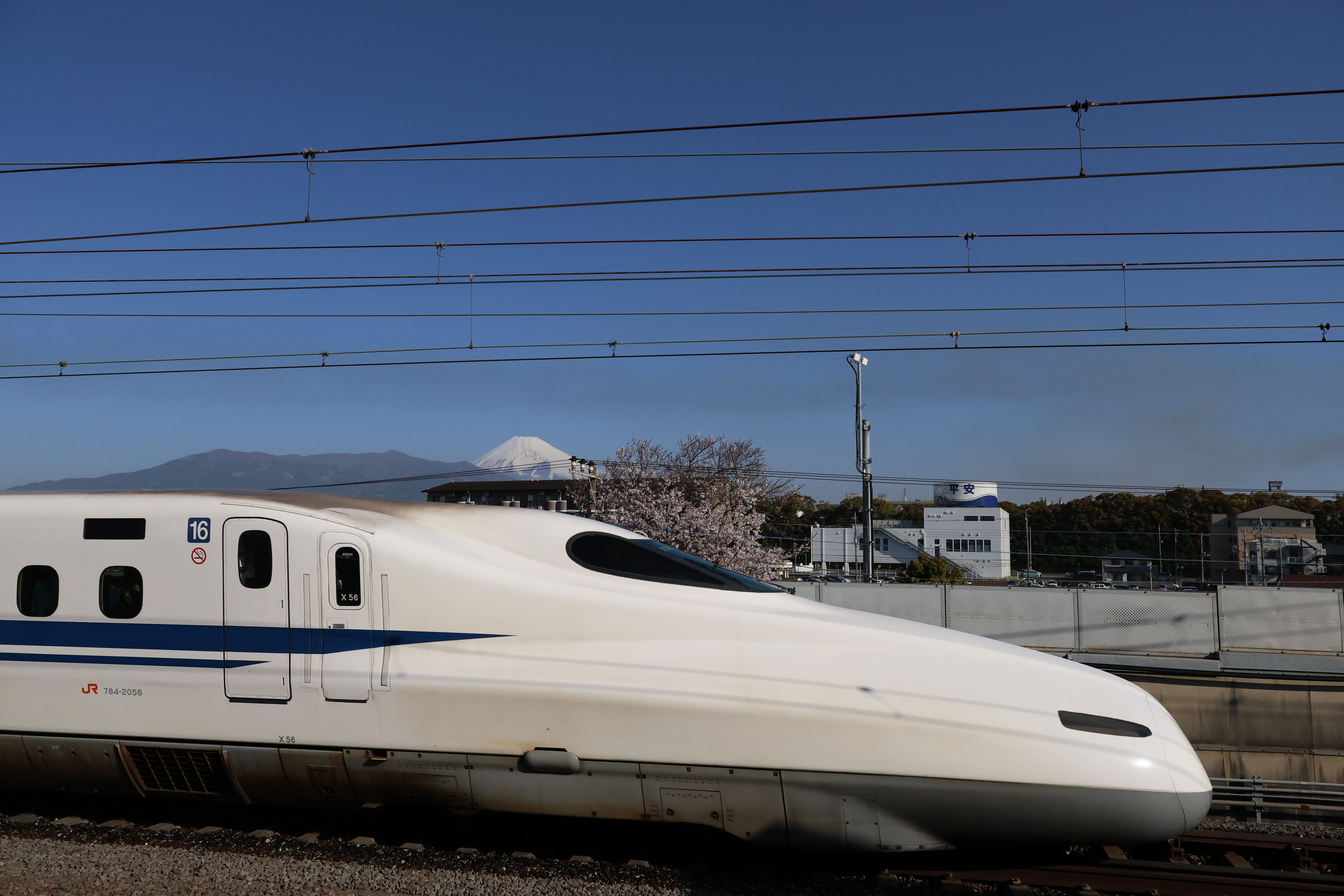 EOS R8／RF24-50mm F4.5-6.3 IS STM／24mm／マニュアル（1/16,000秒・F8.0・±0EV）ISO 2500