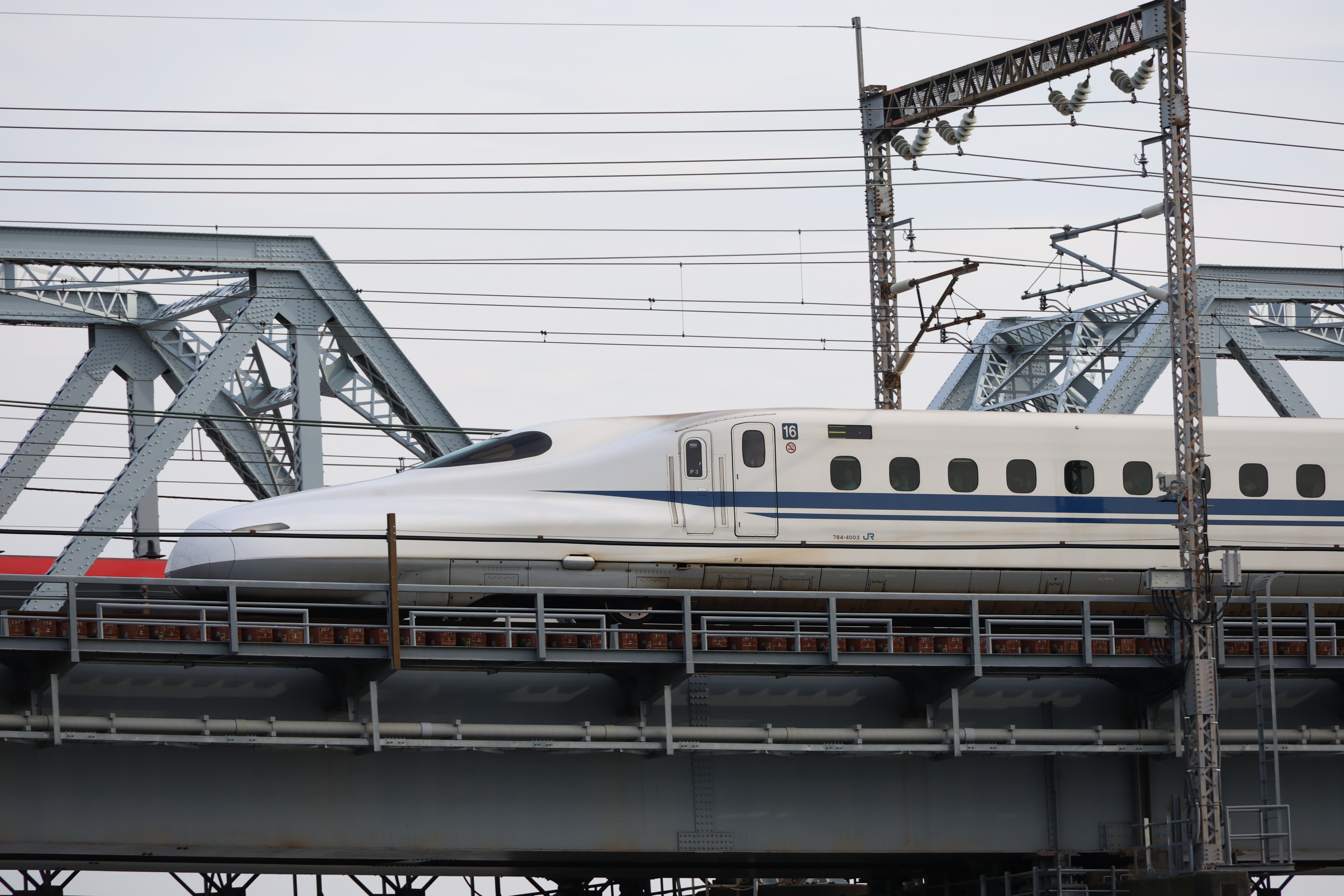 EOS R8／RF24-240mm F4-6.3 IS USM／240mm／マニュアル（1/1,600秒・F7.1・±0EV）ISO 800