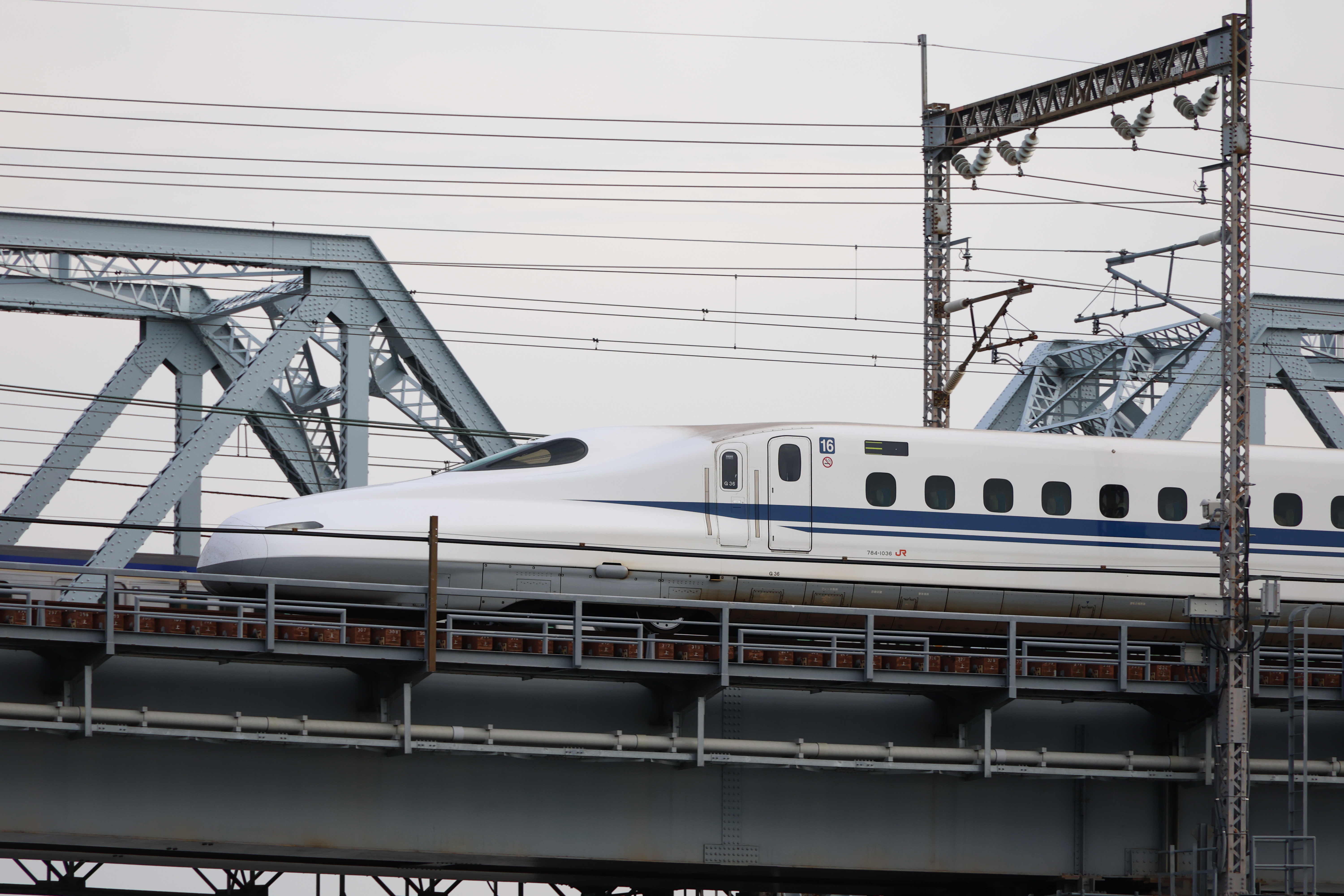 EOS R8／RF24-240mm F4-6.3 IS USM／240mm／マニュアル（1/1,600秒・F6.3・±0EV）ISO 800