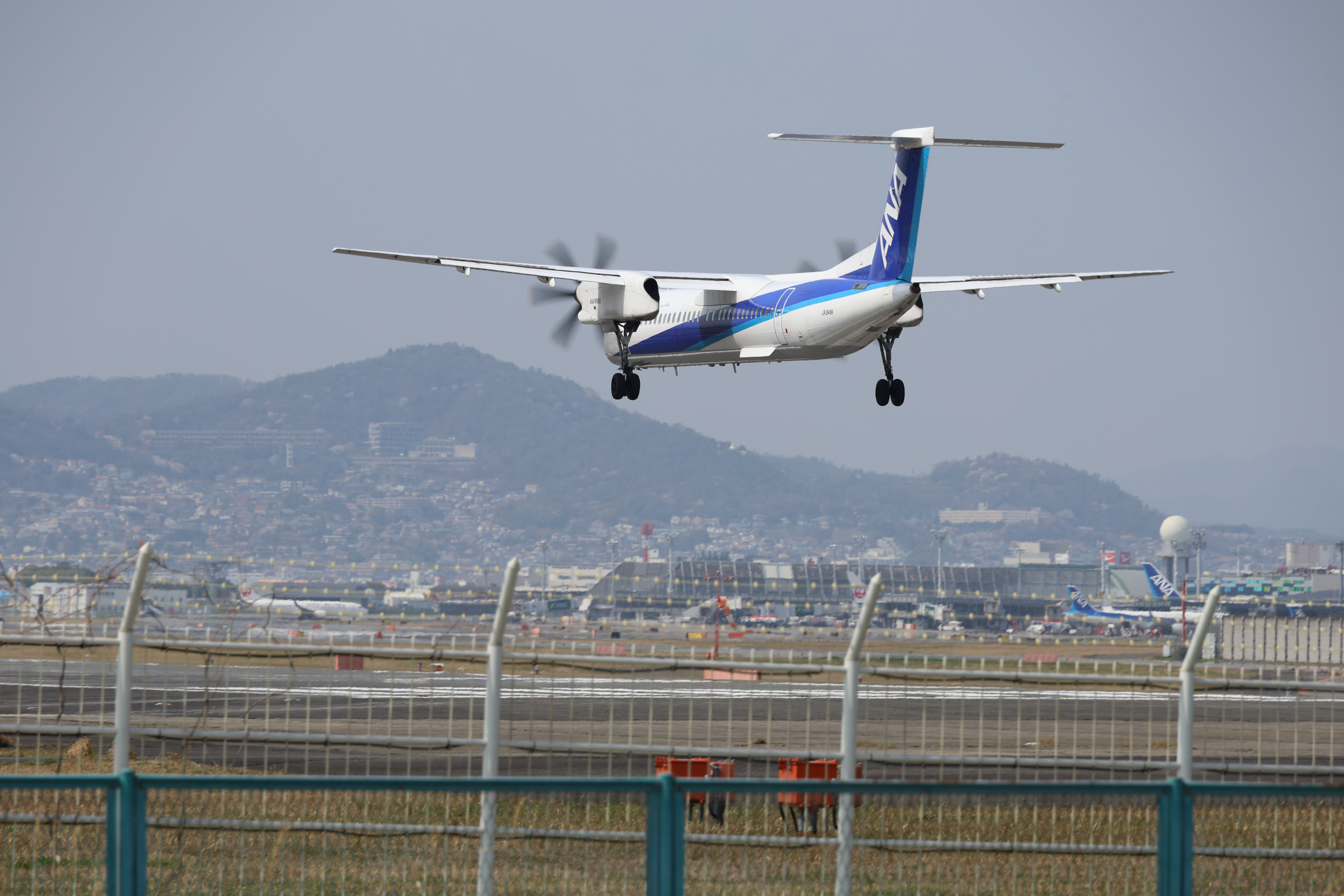 EOS R8／RF24-240mm F4-6.3 IS USM／240mm／シャッター速度優先AE（1/250秒・F10・+0.33EV）ISO 100