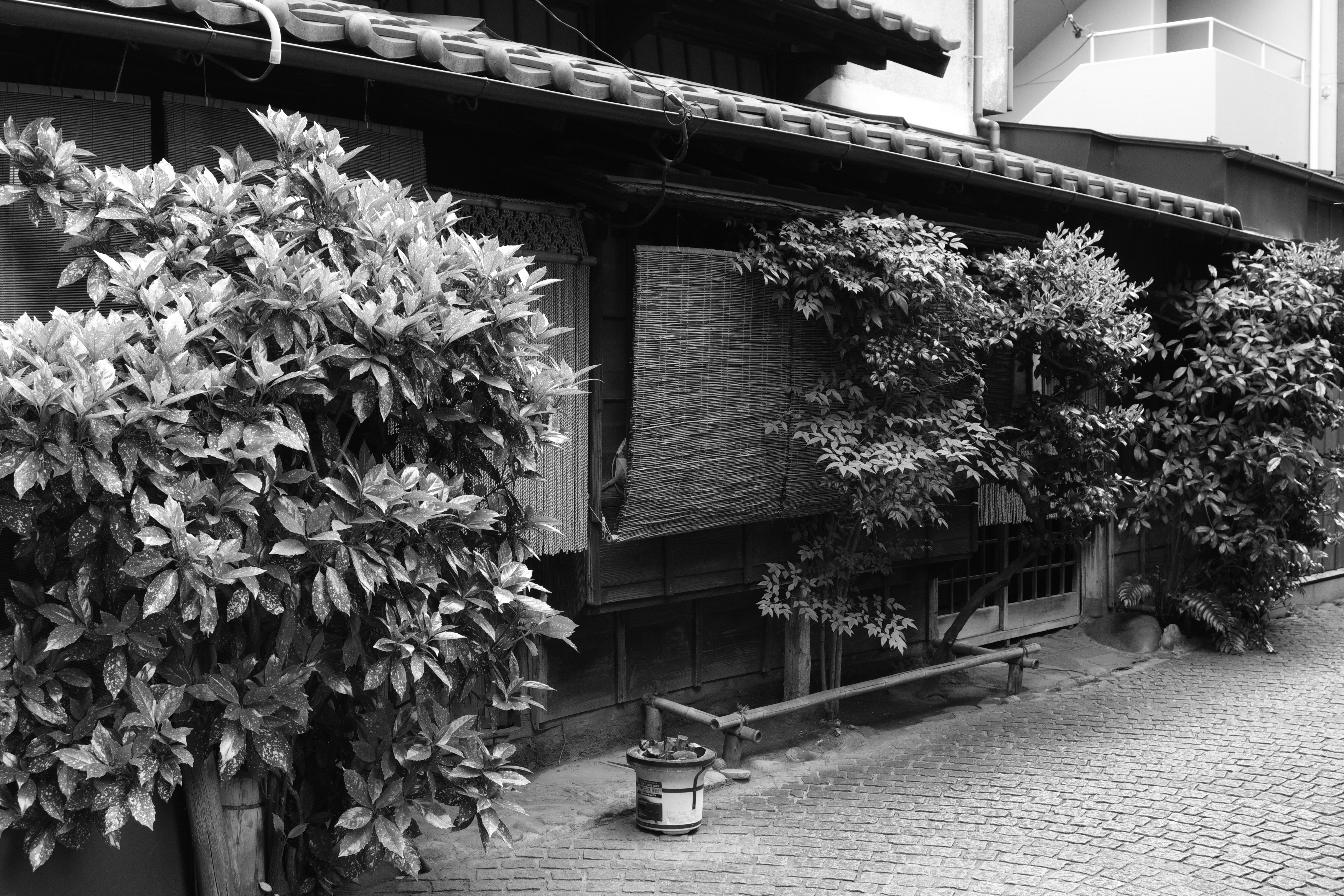 K-3 Mark III Monochrome／HD PENTAX-DA 20-40mmF2.8-4ED Limited DC WR／30mm（45mm相当）／絞り優先AE（1/60秒・F8・-0.3EV）／ISO 1000／カスタムイメージ：ハード