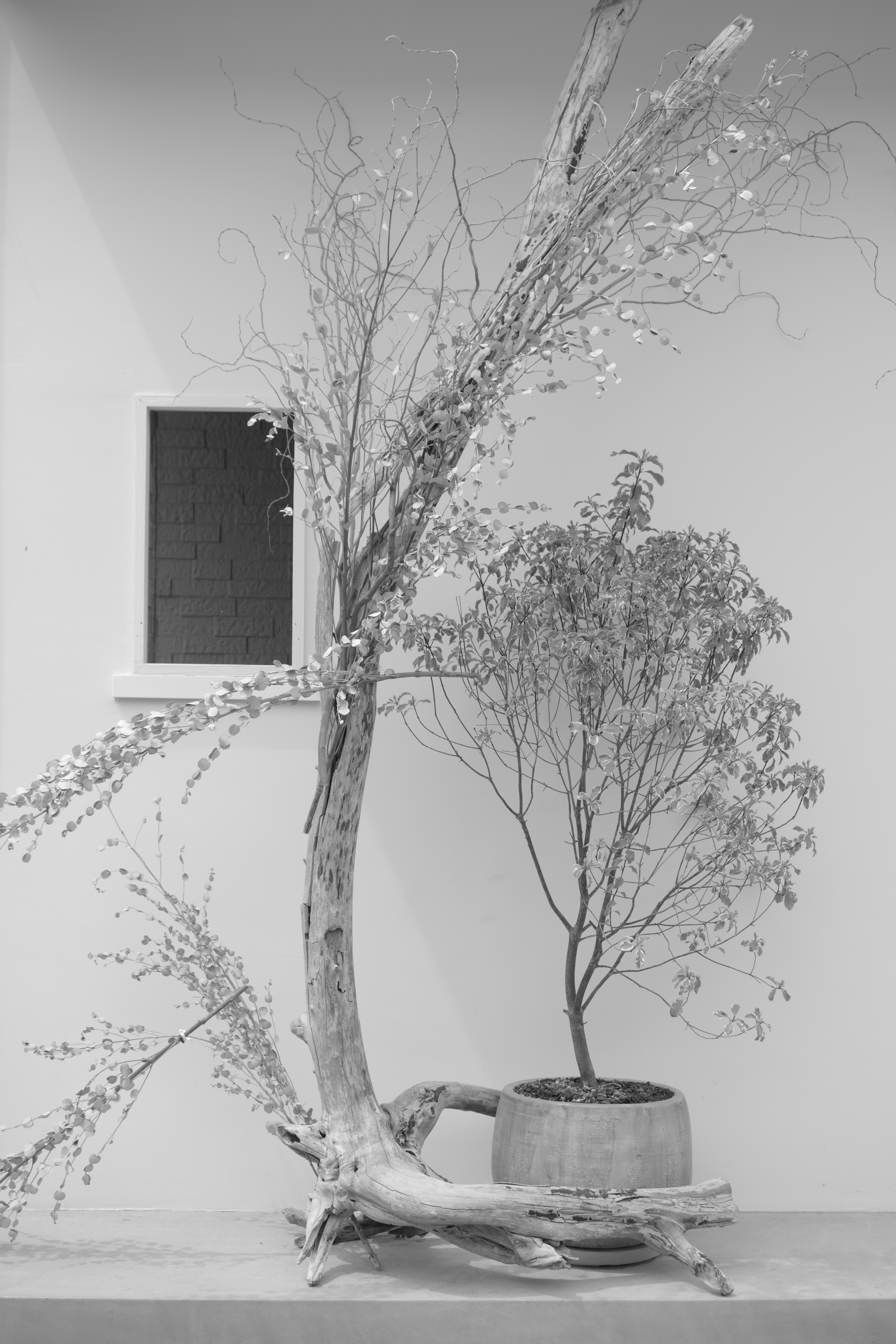 K-3 Mark III Monochrome／HD PENTAX-DA 20-40mmF2.8-4ED Limited DC WR／34mm（51mm相当）／絞り優先AE（1/640秒・F5.6・±0EV）／ISO 200／カスタムイメージ：ソフト