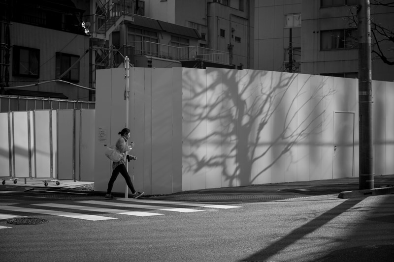 モノクロしか撮影できないとなると、光と影にも相当に敏感になります。色に助けてもらうことができないからでしょう。シャドーからハイライトまで繋がりがとてもいいですね。<br>PENTAX K-3 Mark III Monochrome／HD PENTAX-DA 20-40mmF2.8-4ED Limited DC WR／絞り優先AE（40mm・F10・1/500秒）／ISO 400