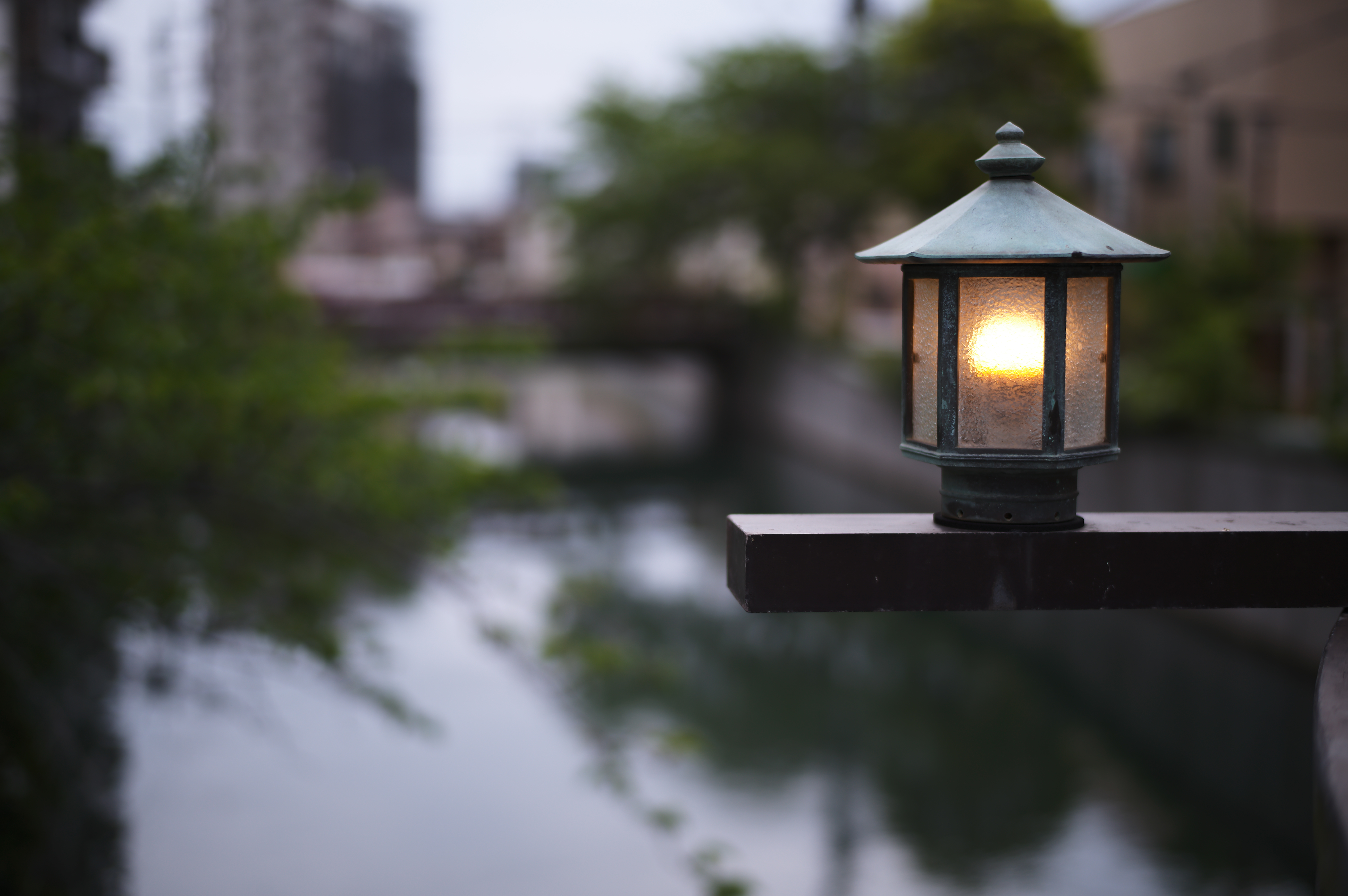 ライカM11／ズミルックスM f1.4/50mm ASPH.／絞り優先AE（F1.4・1/500秒）／ISO 64