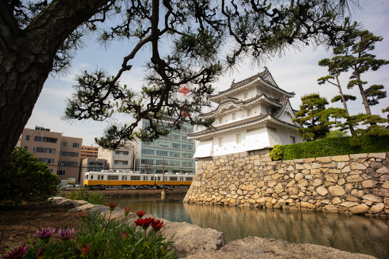 ライカM（Typ240）サファリ／Elmar-M 50mm F2.8／絞り優先オート（F11・1/500秒）／ISO 400／WB:日陰