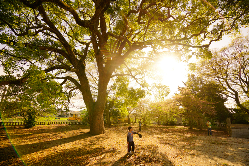 ソニーα7R II／FE 16-35mm F4 ZA OSS／絞り優先オート（16mm・F5・1/1,250秒）／ISO 400／WB:日陰