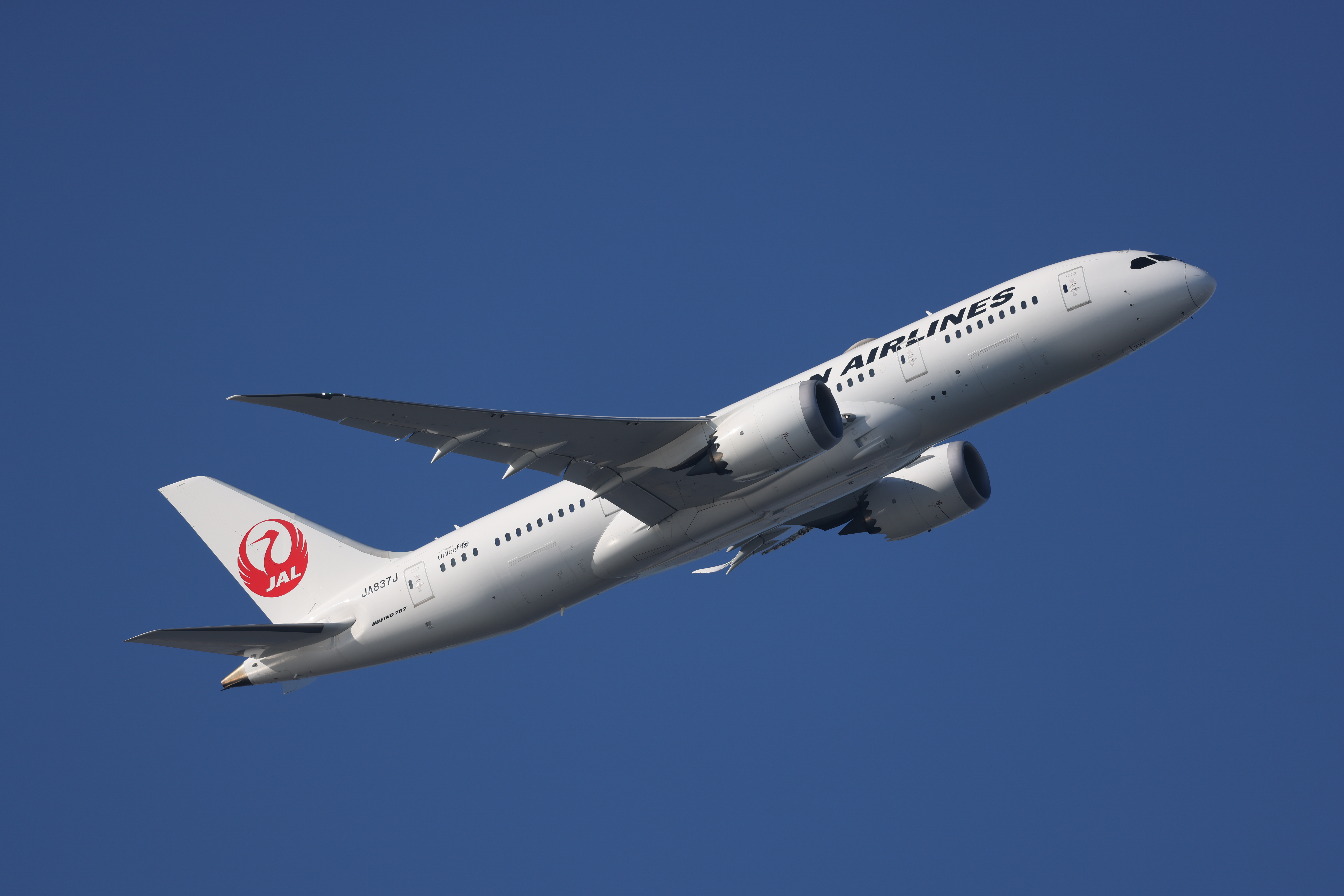 EOS R5／RF100-500mm F4.5-7.1 L IS USM／428mm／シャッター速度優先AE（F7.1、1/800秒、-0.3EV）／ISO 100／WB：晴れ