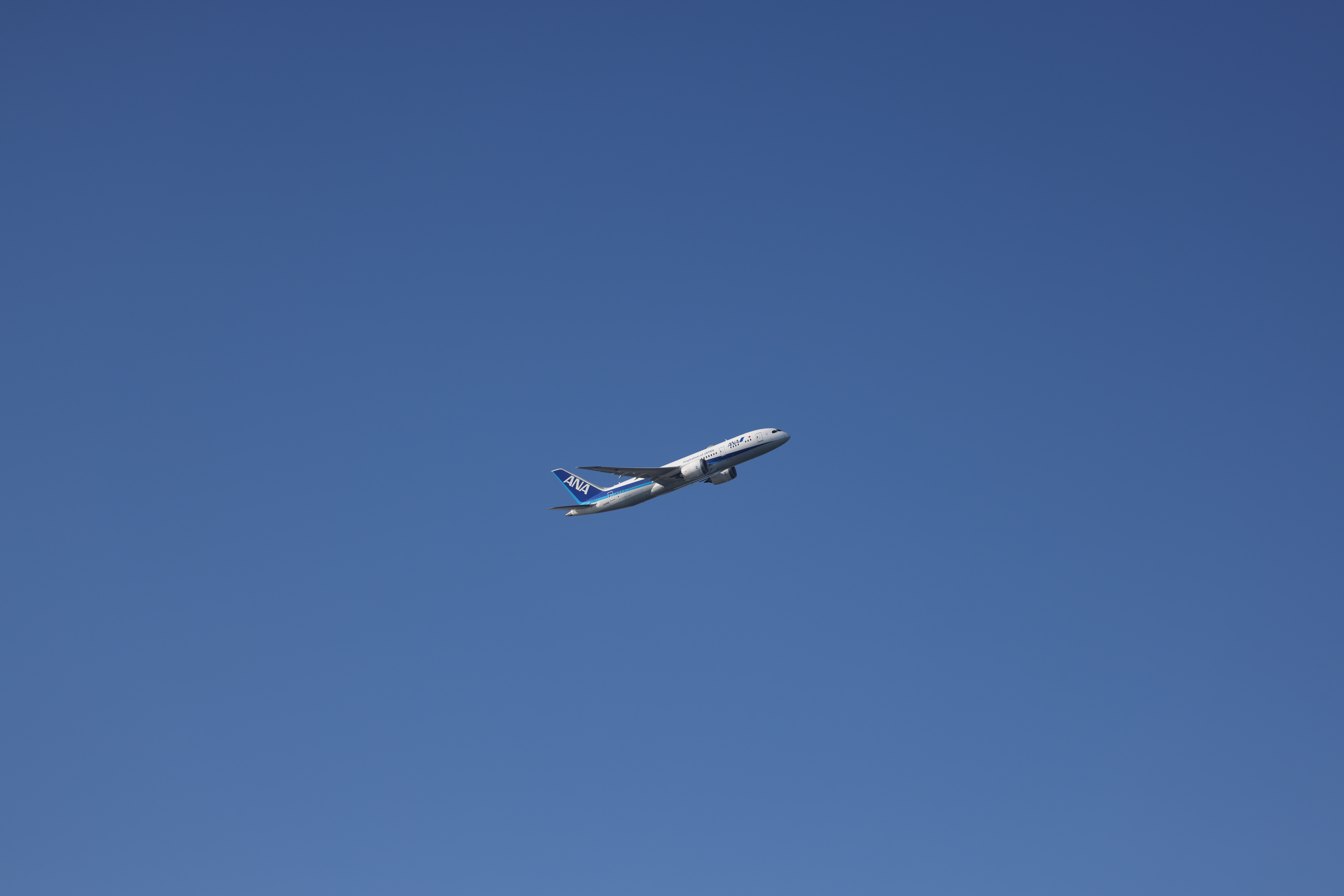 EOS R5／RF100-500mm F4.5-7.1 L IS USM／100mm／絞り優先AE（F4.5、1/1,600秒、-0.3EV）／ISO 100／WB：晴れ