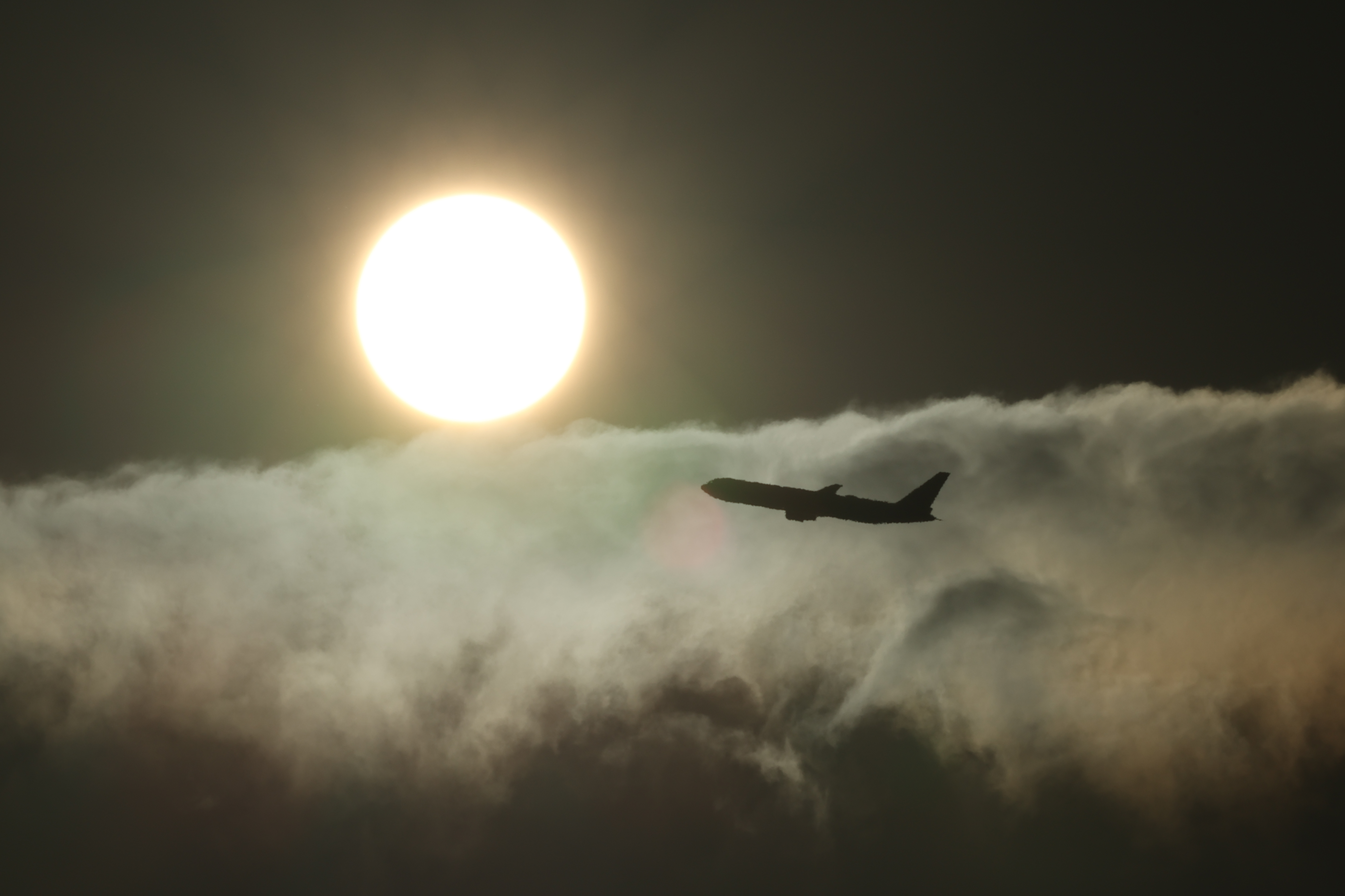 EOS R7／RF100-500mm F4.5-7.1 L IS USM／400mm（640mm相当）／シャッター速度優先AE（F36、1/5,000秒、-0.3EV）／ISO 100／WB：晴れ