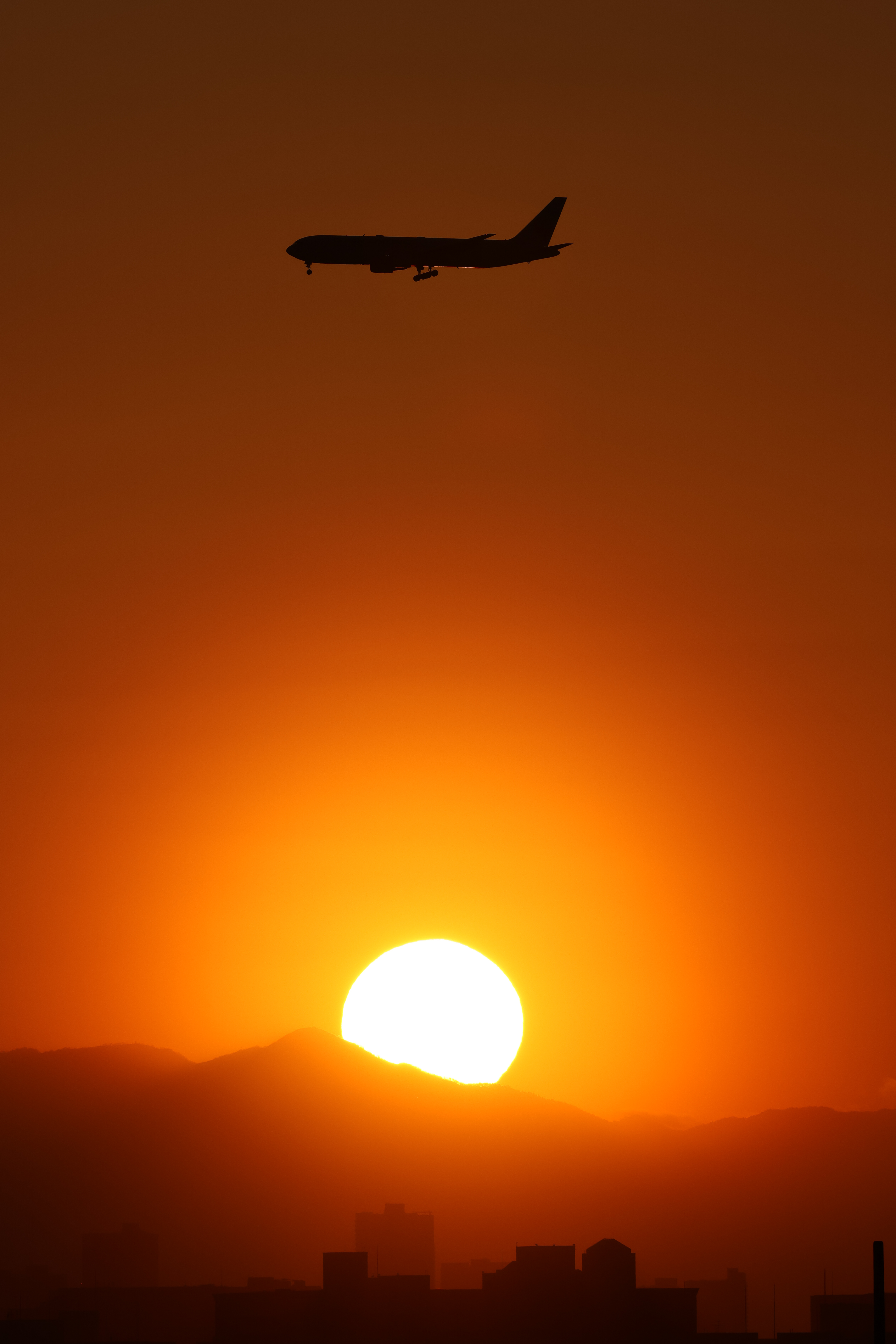 EOS R7／RF100-500mm F4.5-7.1 L IS USM／324mm（518mm相当）／マニュアル（F10、1/2,500秒、+0.3EV）／ISO 160／WB：晴れ