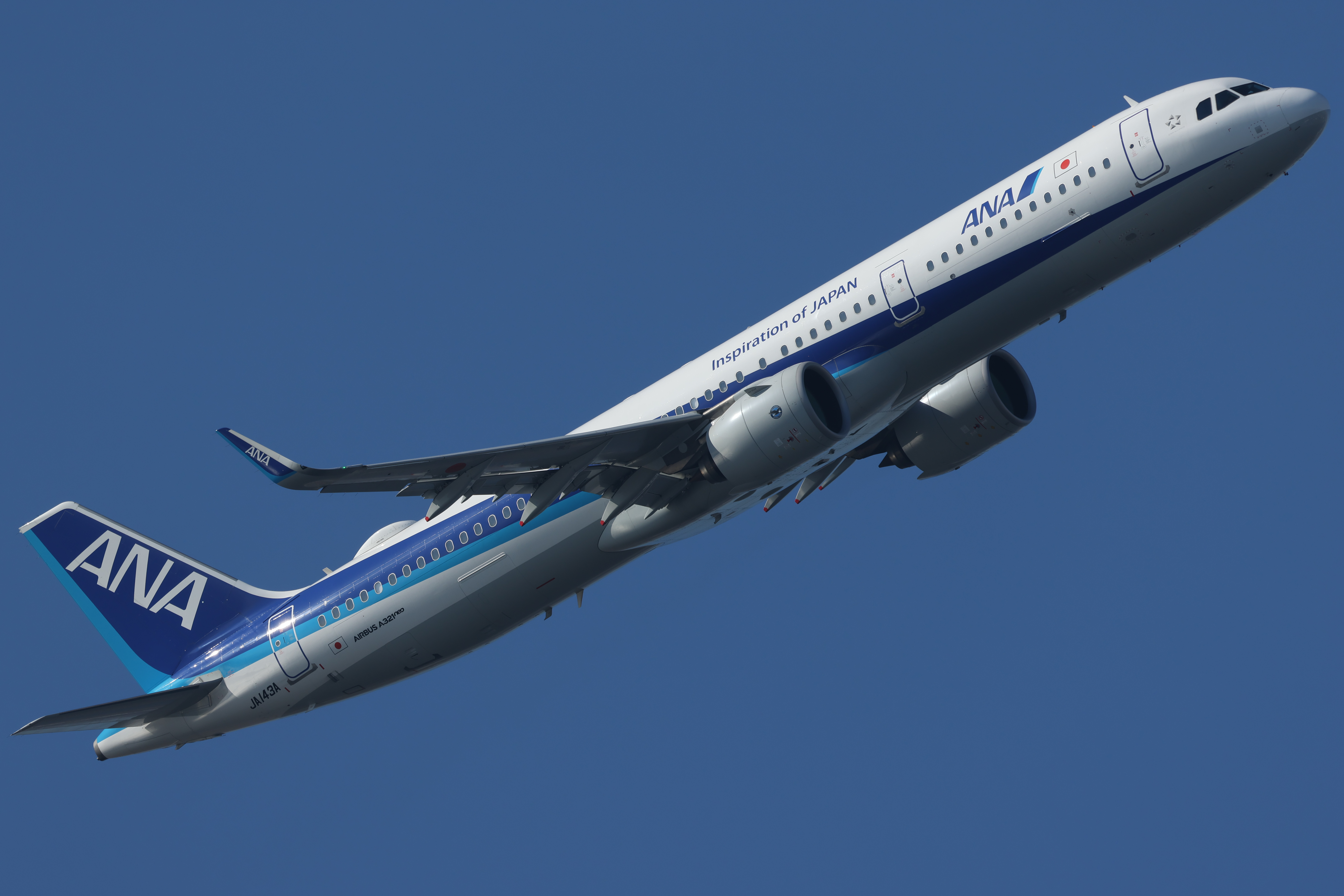 EOS R7／RF100-500mm F4.5-7.1 L IS USM／500mm（800mm相当）／シャッター速度優先AE（F8.0、1/640秒、-0.3EV）／ISO 100／WB：晴れ