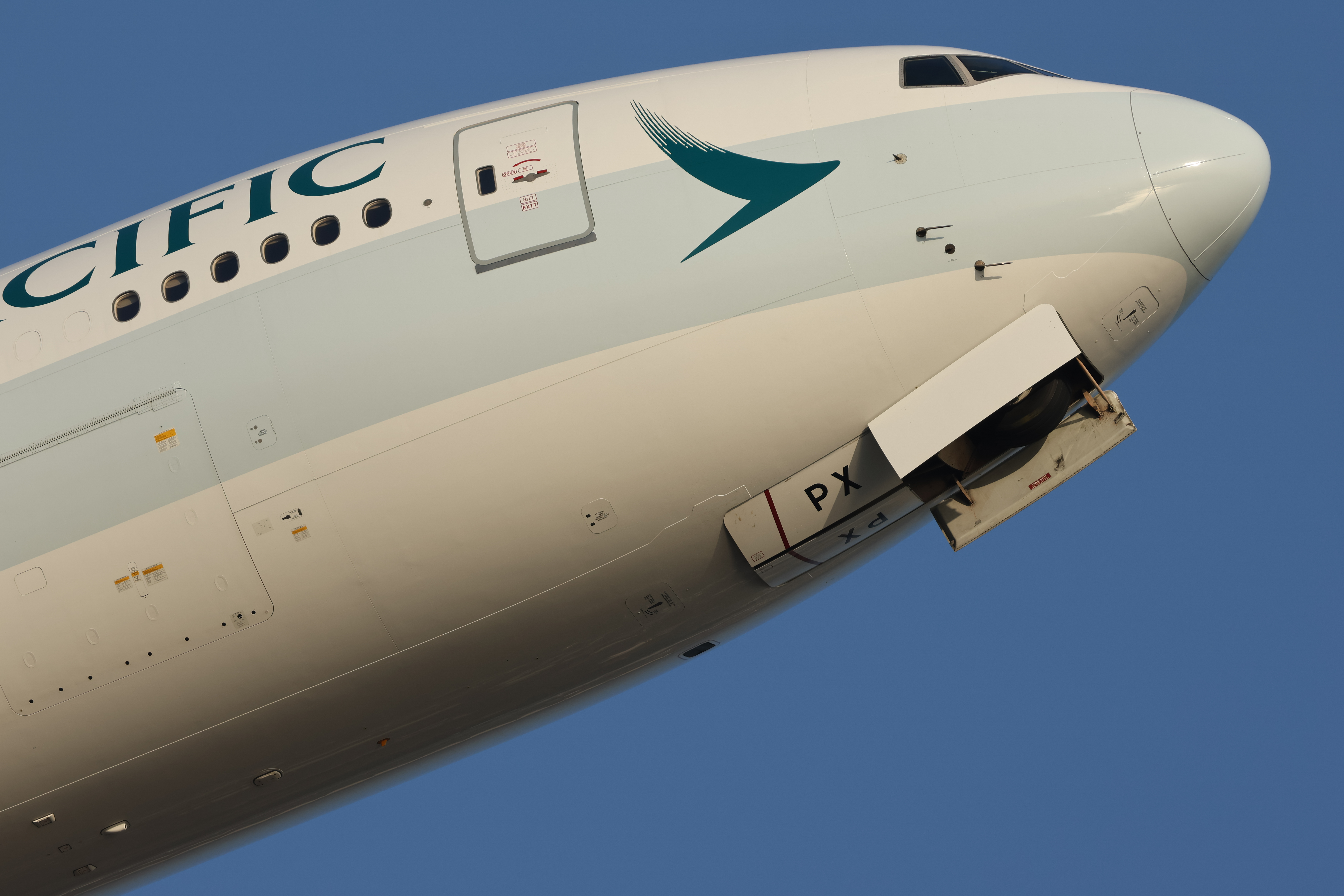 EOS R7／RF100-500mm F4.5-7.1 L IS USM／500mm（800mm相当）／シャッター速度優先AE（F7.1、1/800秒、-0.3EV）／ISO 160／WB：晴れ