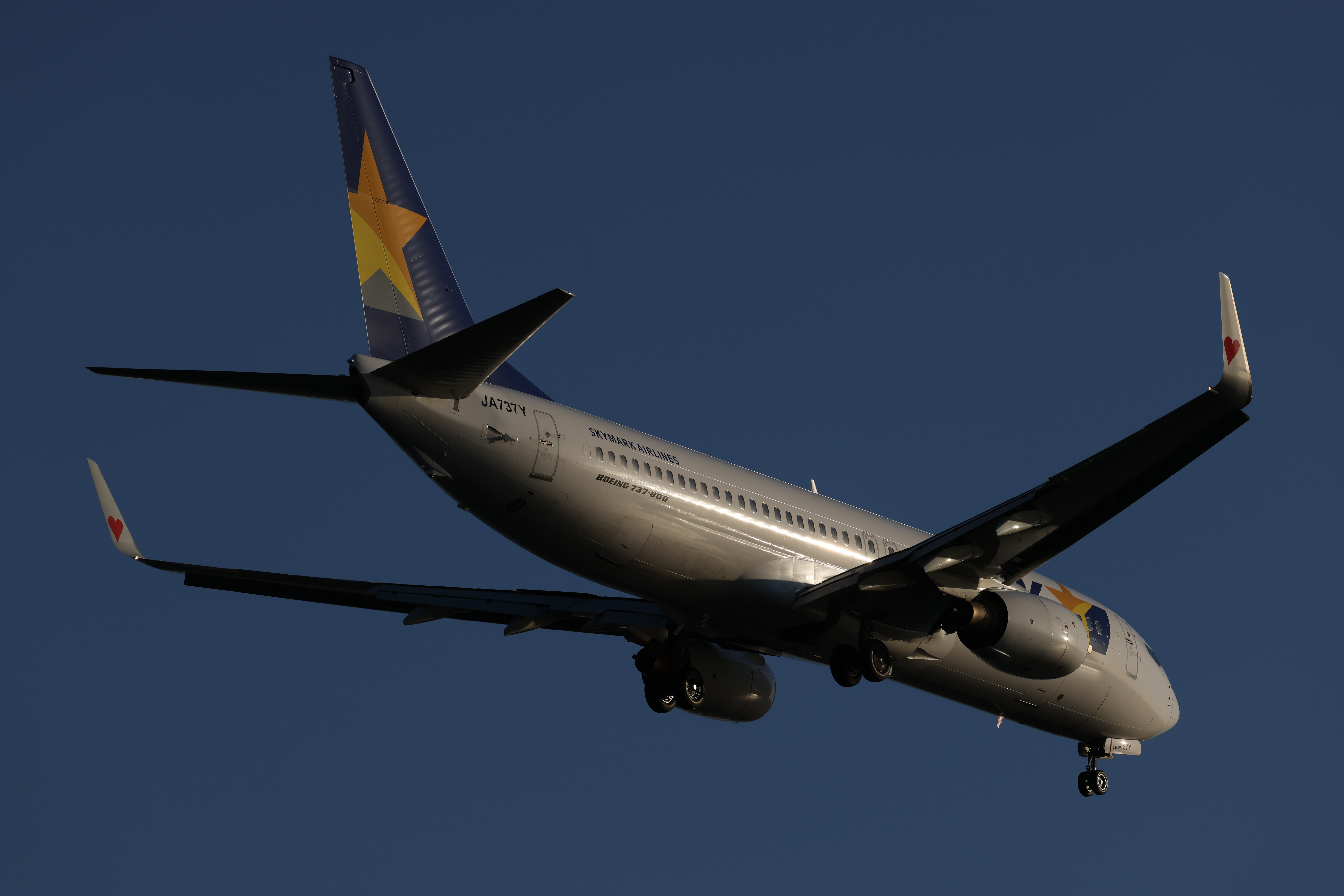 EOS R5／RF100-500mm F4.5-7.1 L IS USM／300mm／シャッター速度優先AE（F9.0、1/1,000秒、-1.3EV）／ISO 100／WB：晴れ