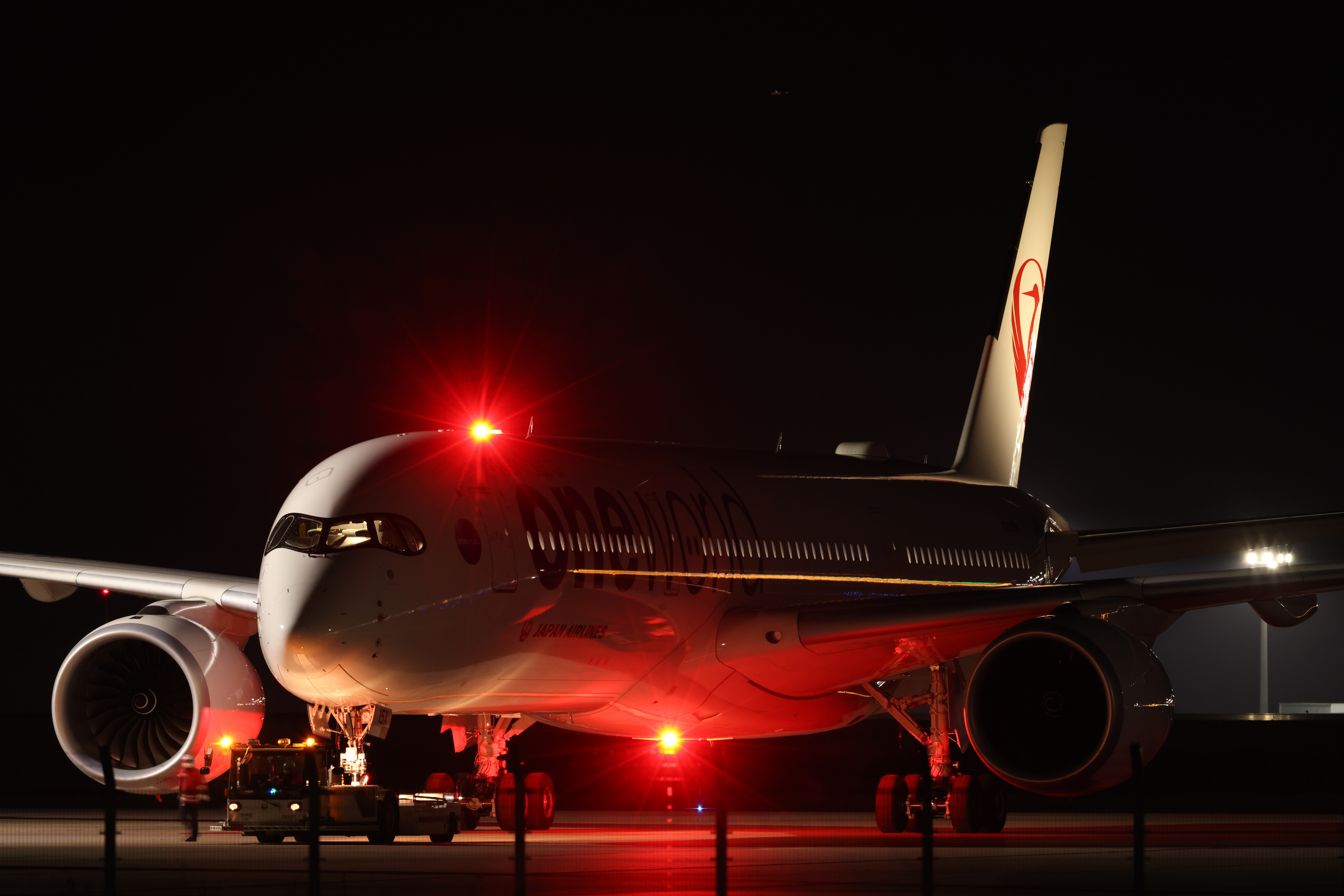 EOS R5／RF100-500mm F4.5-7.1 L IS USM／300mm／シャッター速度優先AE（F9.0、1/1,000秒、-1.3EV）／ISO 100／WB：晴れ