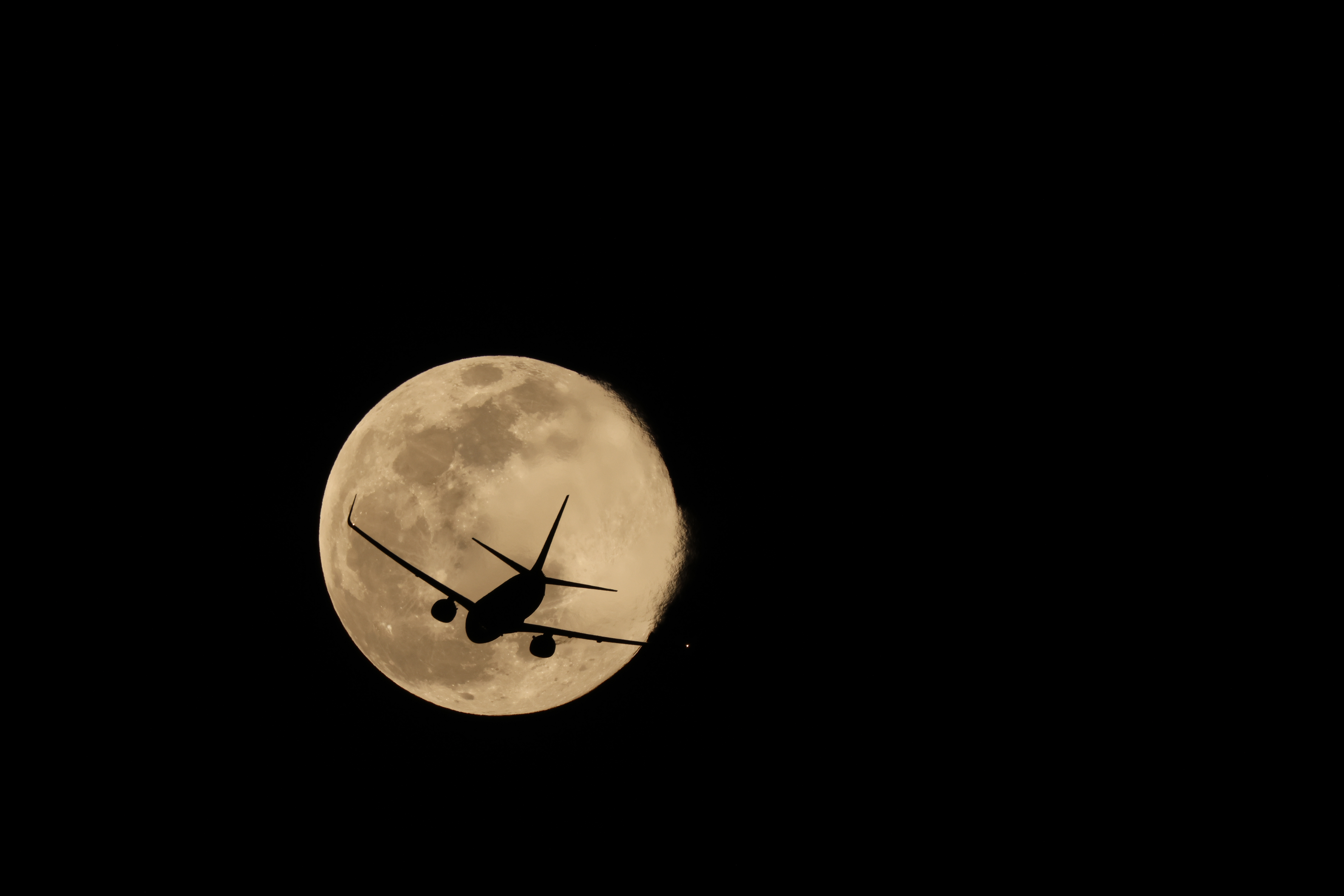 EOS R7／RF100-500mm F4.5-7.1 L IS USM＋EXTENDER RF1.4x／700mm（1,120mm相当）／マニュアル（F10、1/320秒、±0.0EV）／ISO 400／WB：晴れ