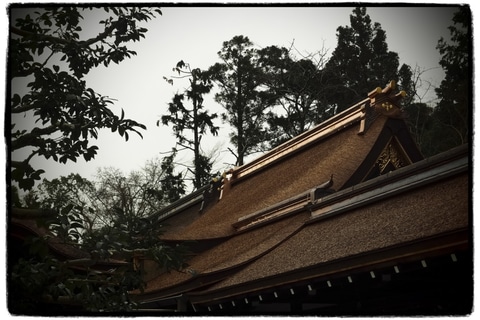 山岸伸の「写真のキモチ」 第46回：世界文化遺産 賀茂別雷神社