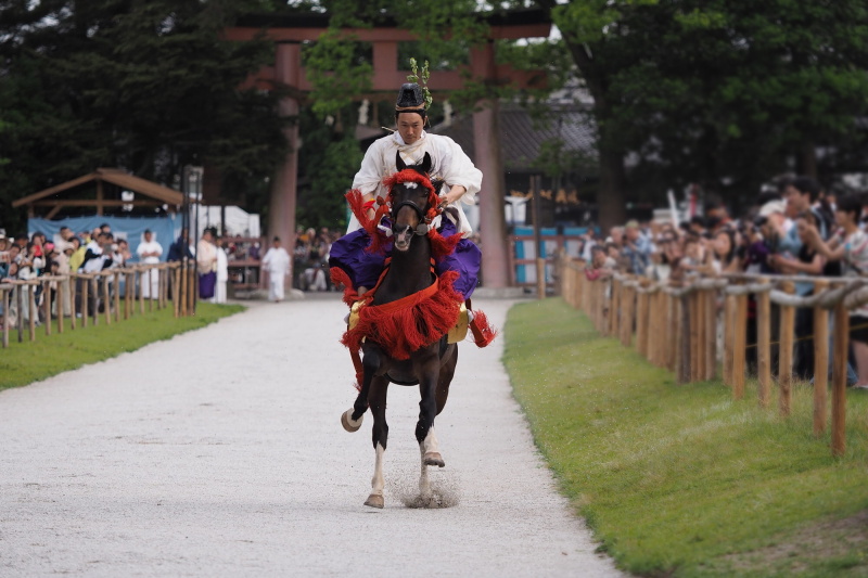 走馬の儀では一の鳥居から二の鳥居に向かって約200メートルの直線を勇ましく疾走してくる