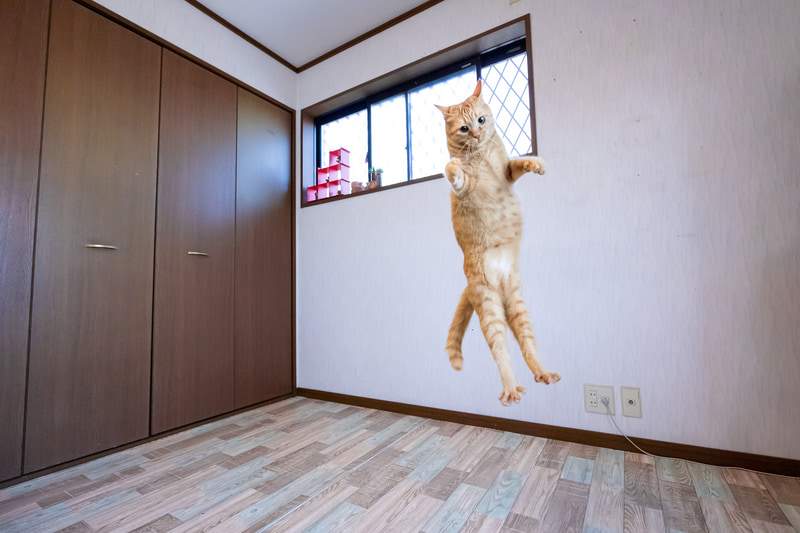 <span class="fnt-85">EOS R8／RF14-35mm F4 L IS USM／14mm／マニュアル露出（F4、1/250秒）／ISO 6400／WB：オート</span>