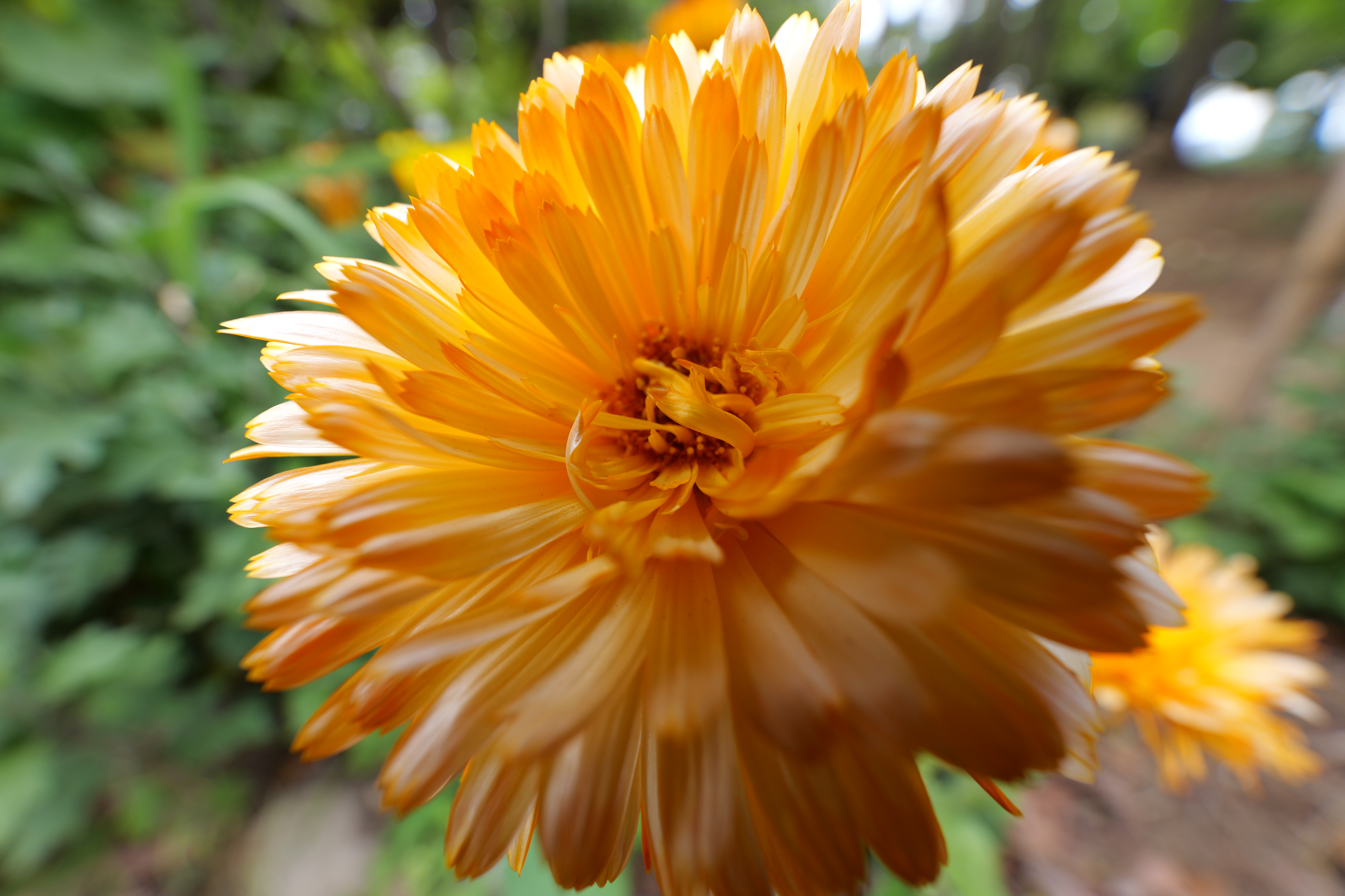 LUMIX S5II／LUMIX S 14-28mm F4-5.6 MACRO／14mm／絞り優先AE（1/50秒、F6.3、+0.3EV）／ISO 400