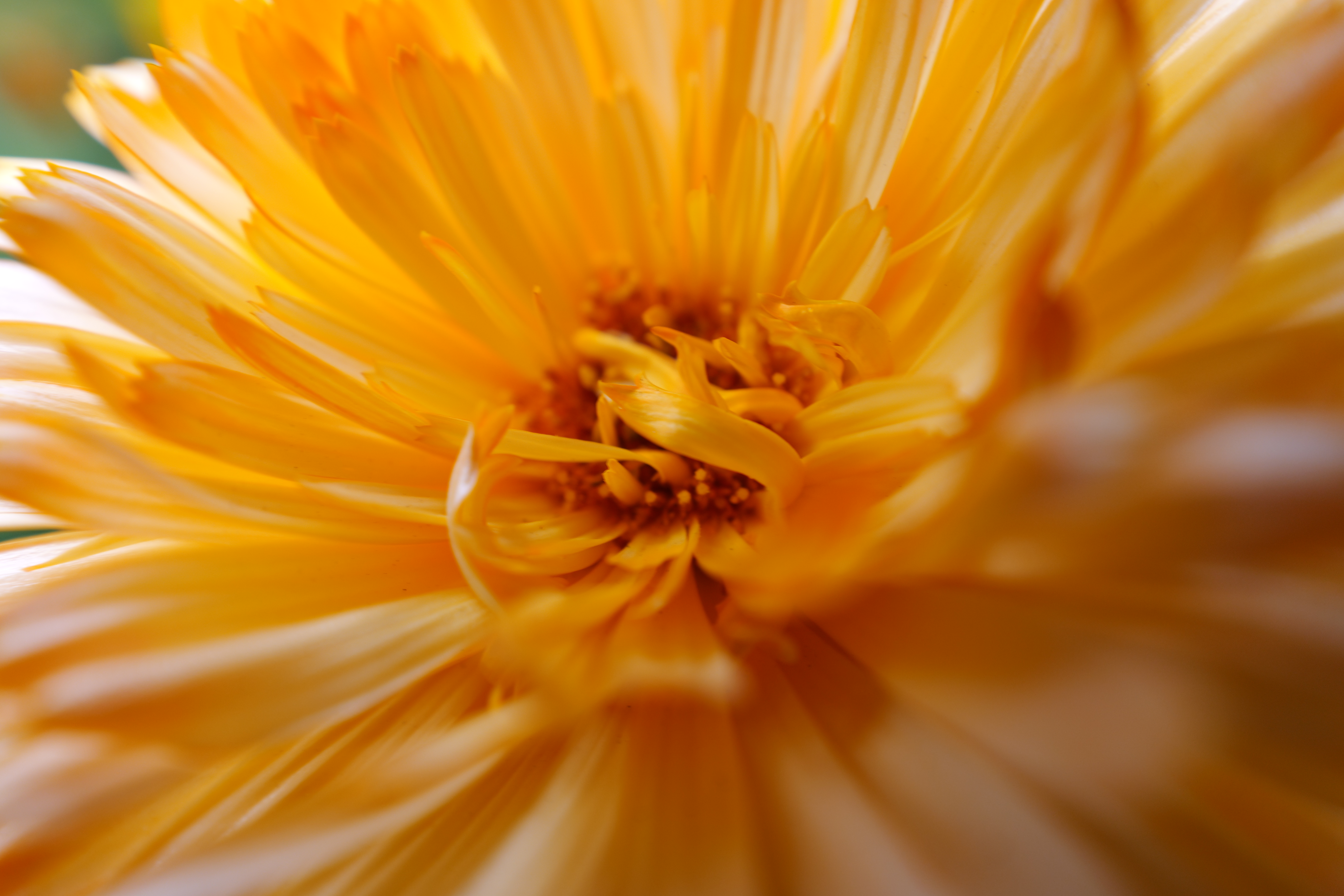 LUMIX S5II／LUMIX S 14-28mm F4-5.6 MACRO／28mm／絞り優先AE（1/60秒、F6.3、-0.3EV）／ISO 400