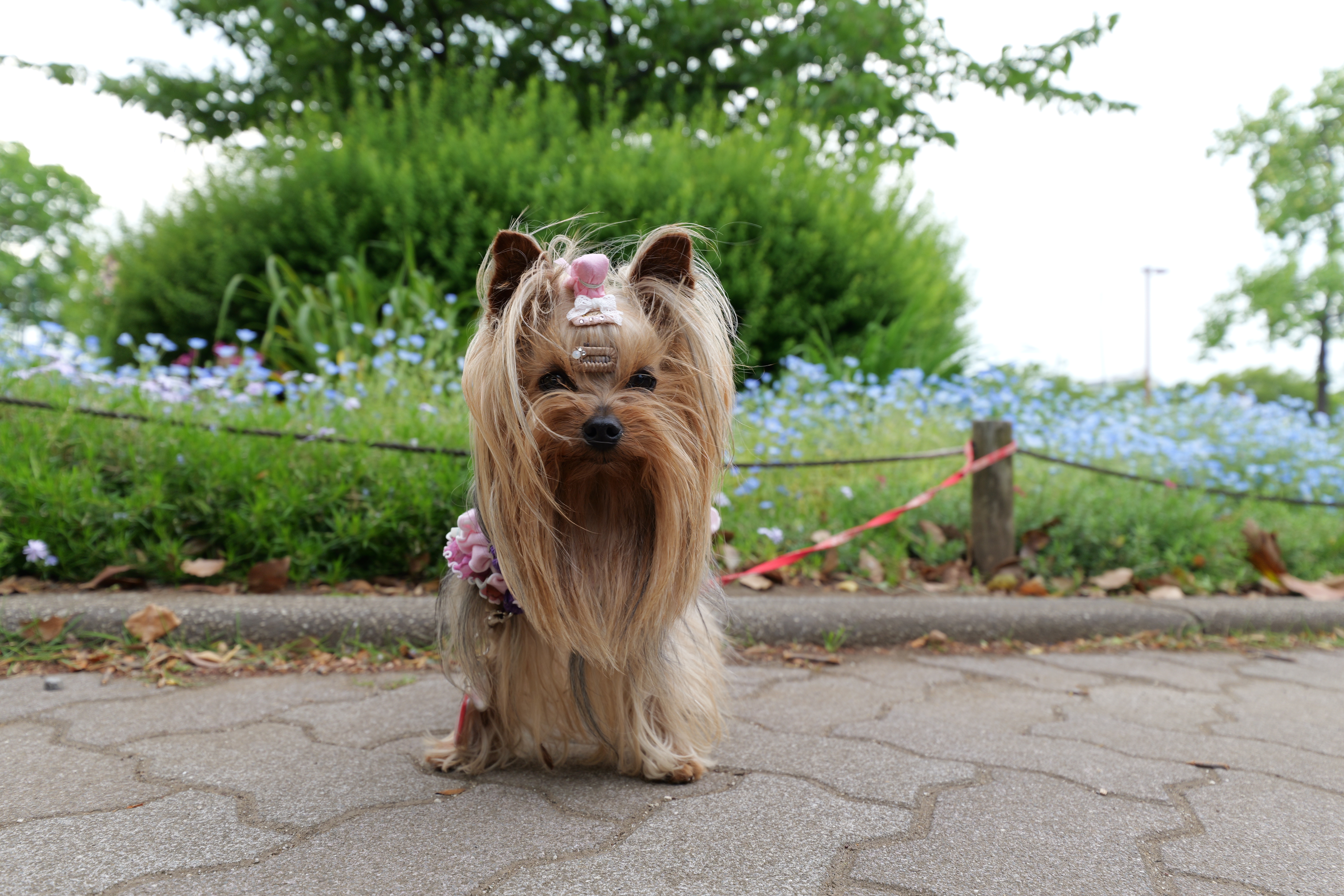 LUMIX S5II／LUMIX S 14-28mm F4-5.6 MACRO／28mm／絞り優先AE（1/100秒、F5.2、+1.0EV）／ISO 400