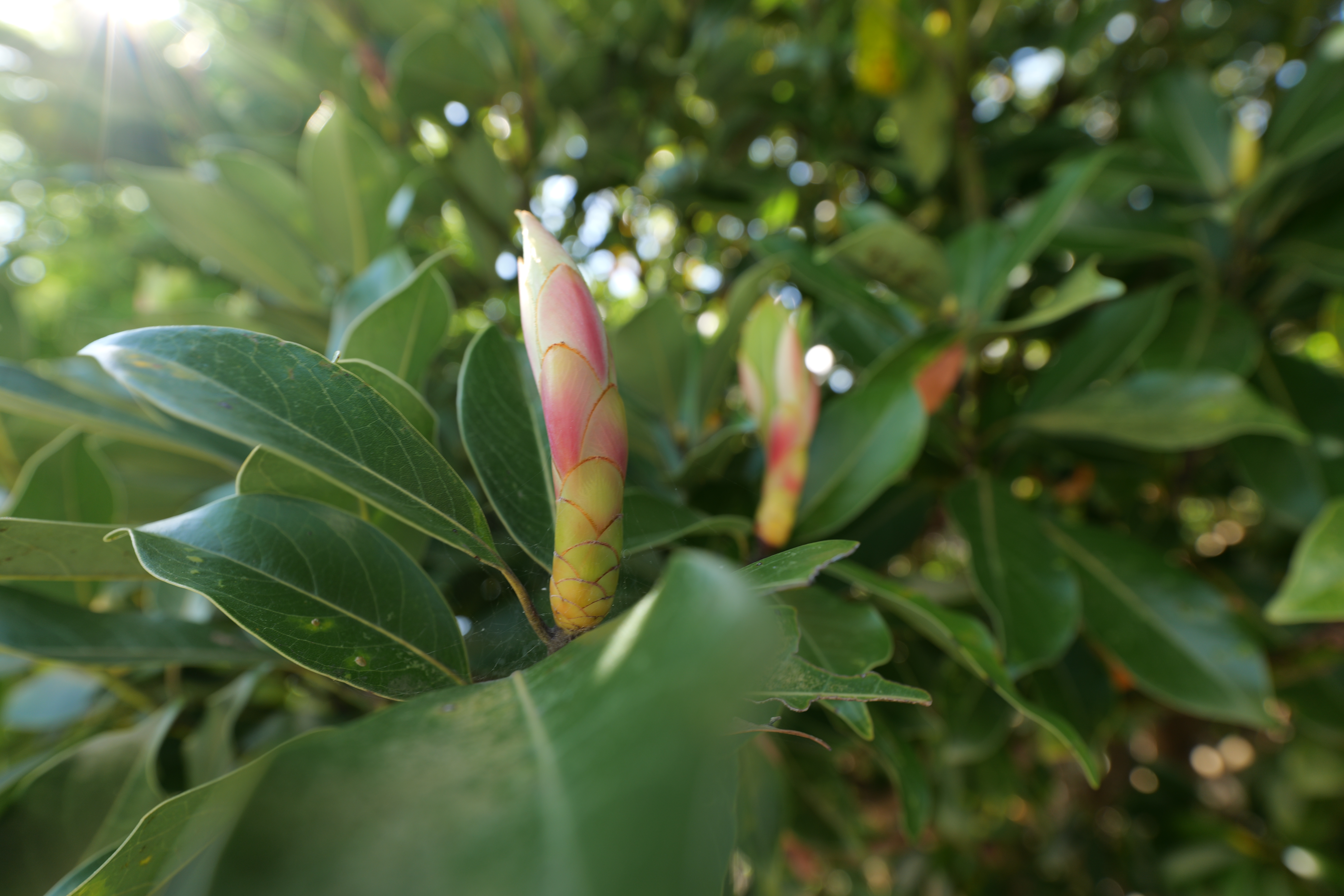 LUMIX S5II／LUMIX S 14-28mm F4-5.6 MACRO／18mm／絞り優先AE（1/60秒、F5.6、-0.3EV）／ISO 160