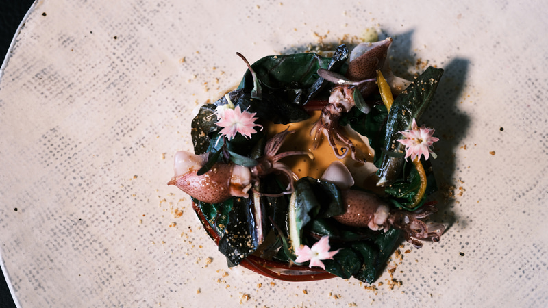 BV-20の特徴でもある垂直90度で俯瞰撮影。浅めの被写界深度で食材の存在感を引き出した<br><span class="fnt-85">FUJIFILM GFX100S／GF120mmF4 R LM OIS WR Macro／120mm（95mm相当）／マニュアル露出（F4、1/125秒）／ISO 640／WB：5,300K</span>