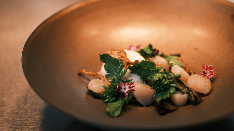 料理の温度に影響しないよう、ヒートランプの雰囲気を出しつつ、手前からLEDライトを1灯当てた。現場で見た色を大切にしている<br><span class="fnt-85">FUJIFILM GFX100S／GF120mmF4 R LM OIS WR Macro／120mm（95mm相当）／マニュアル露出（F4、1/60秒）／ISO 200／WB：5,300K</span>