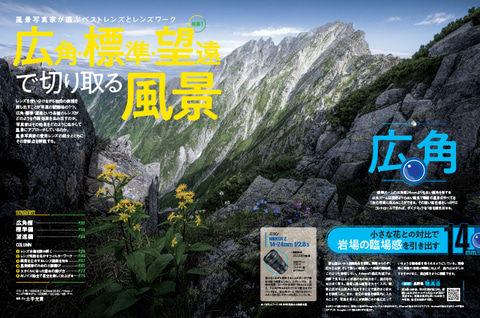 日本風景8 懐かしい日本の原風景、忍野村の忍野八海からの富士山と桜並木の雪景色