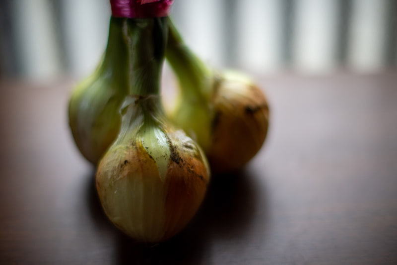 新玉の季節ですね。サラダでいかがですかみたいに売られていたので撮影してみたのですが、逆光気味なんで良い感じです。説明しないとなんだかわからないように見えるのがミソです。<br>ニコンDf／NOKTON 55mm F1.2 SL IIs／絞り優先AE（F1.2・1/2,000秒）／ISO 400