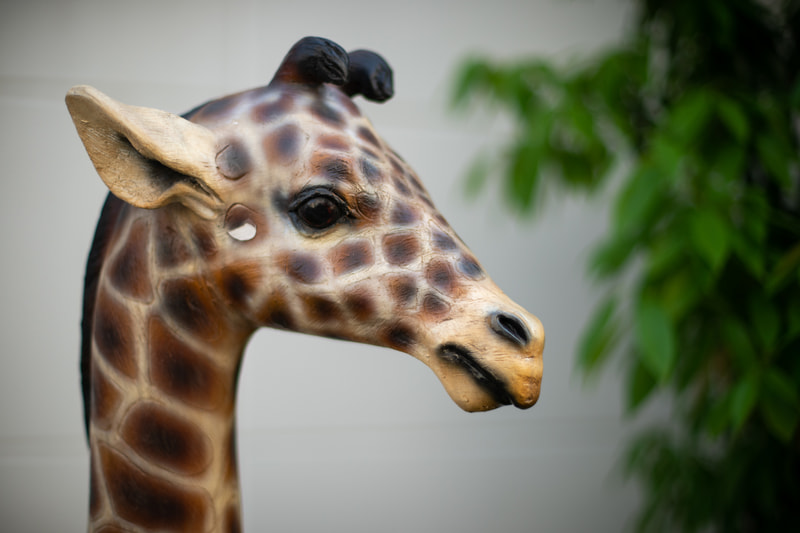 このレンズは撮影距離によっても味わいが変わります。ピントの芯を見せたい場合は少しだけ絞り込んでみるといいでしょう。撮影距離で絞りの加減は変わります。<br>ニコンDf／NOKTON 55mm F1.2 SL IIs／絞り優先AE（F1.6・1/1,600秒）／ISO 100