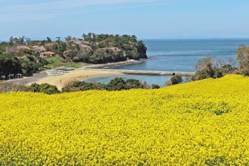 花とアートの岬 長崎鼻