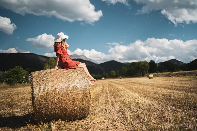 株式会社サイトロンジャパン提供（以下同）