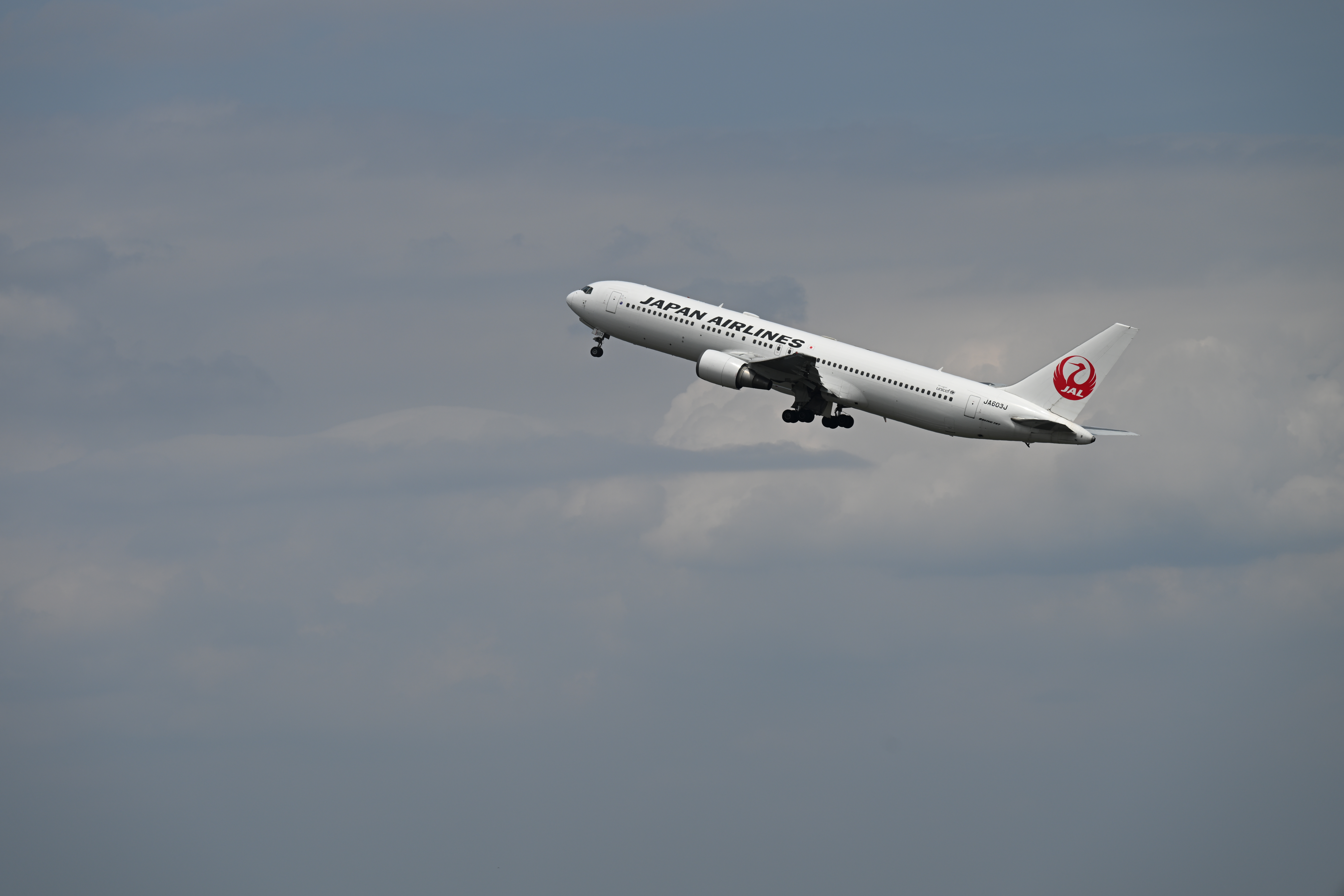 Z 8／NIKKOR Z 70-200mm f/2.8 VR S／200mm／シャッター速度優先AE（F6.3、1/1,000秒、±0EV）／ISO 64／WB：オート