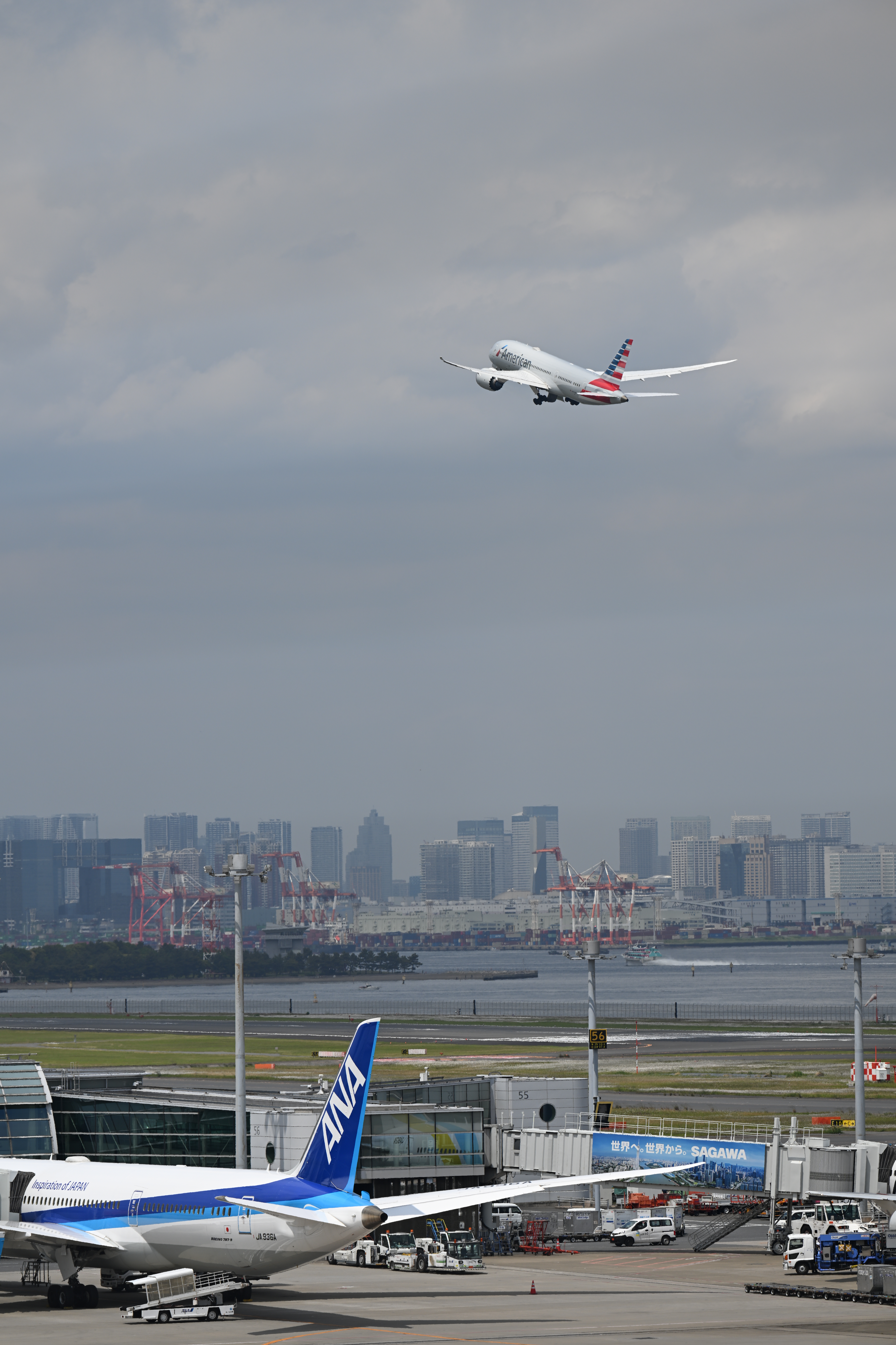 Z 8／NIKKOR Z 70-200mm f/2.8 VR S／200mm／シャッター速度優先AE（F5.6、1/1,000秒、±0EV）／ISO 64／WB：オート