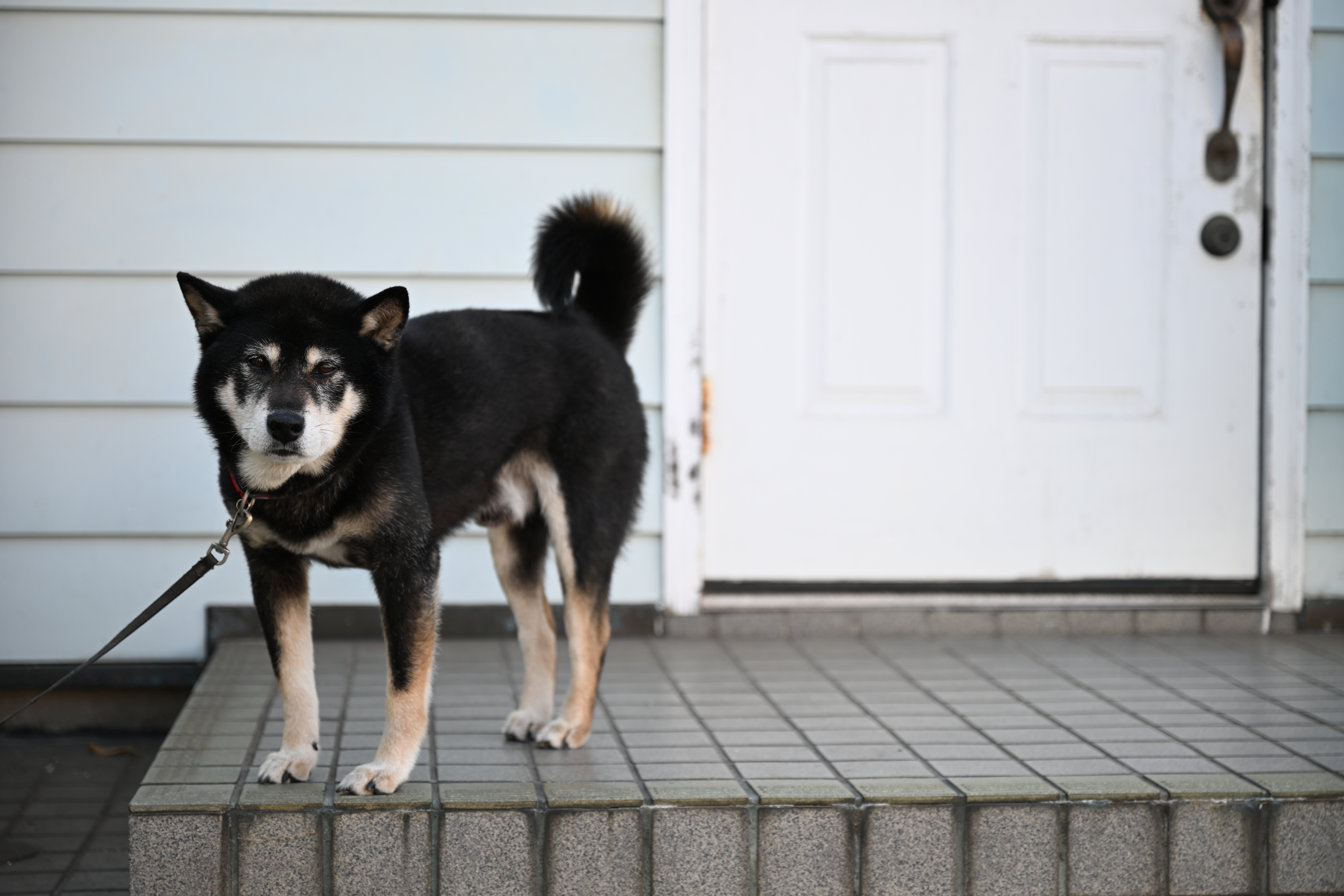 Z 8／NIKKOR Z 24-70mm f/2.8 S／70mm／絞り優先AE（F2.8、1/160秒、±0EV）／ISO 64／WB：オート