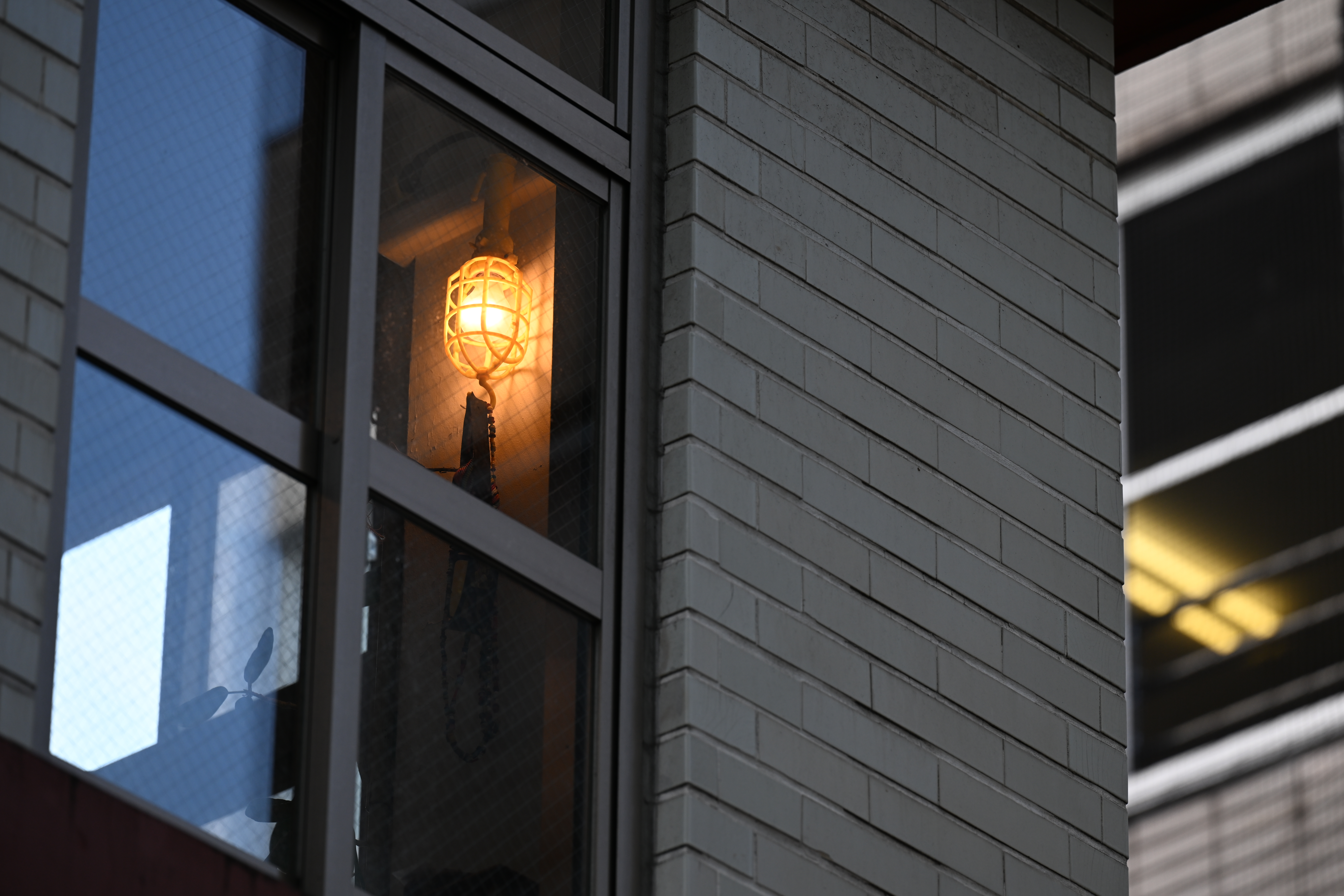 Z 8／NIKKOR Z 70-200mm f/2.8 VR S／200mm／絞り優先AE（F4.0、1/320秒、-0.7EV）／ISO 64／WB：オート