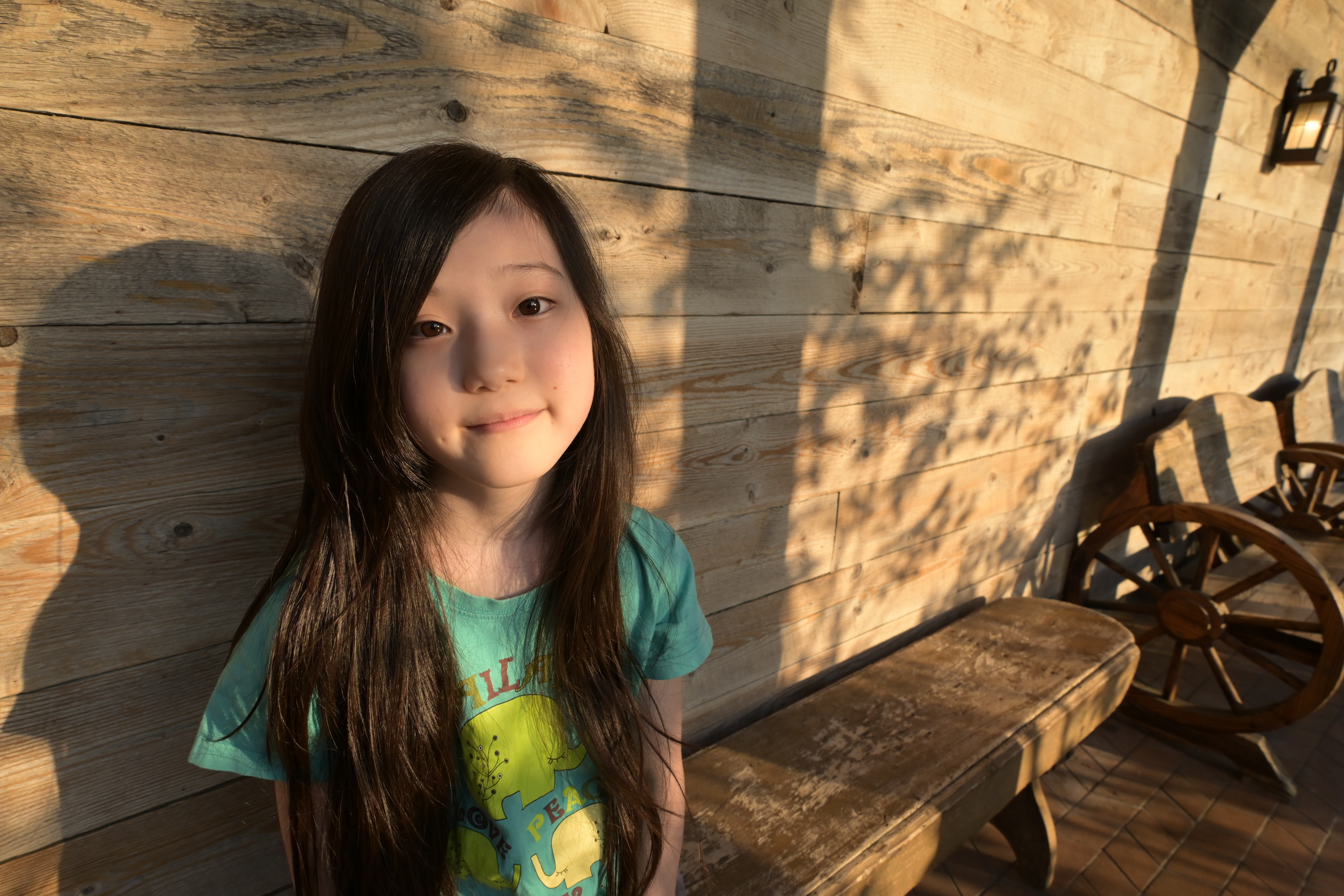 Z 30／NIKKOR Z DX 12-28mm f/3.5-5.6 PZ VR／12mm（18mm相当）／絞り優先AE（1/320秒・F5.6・+0.7EV）／ISO 200