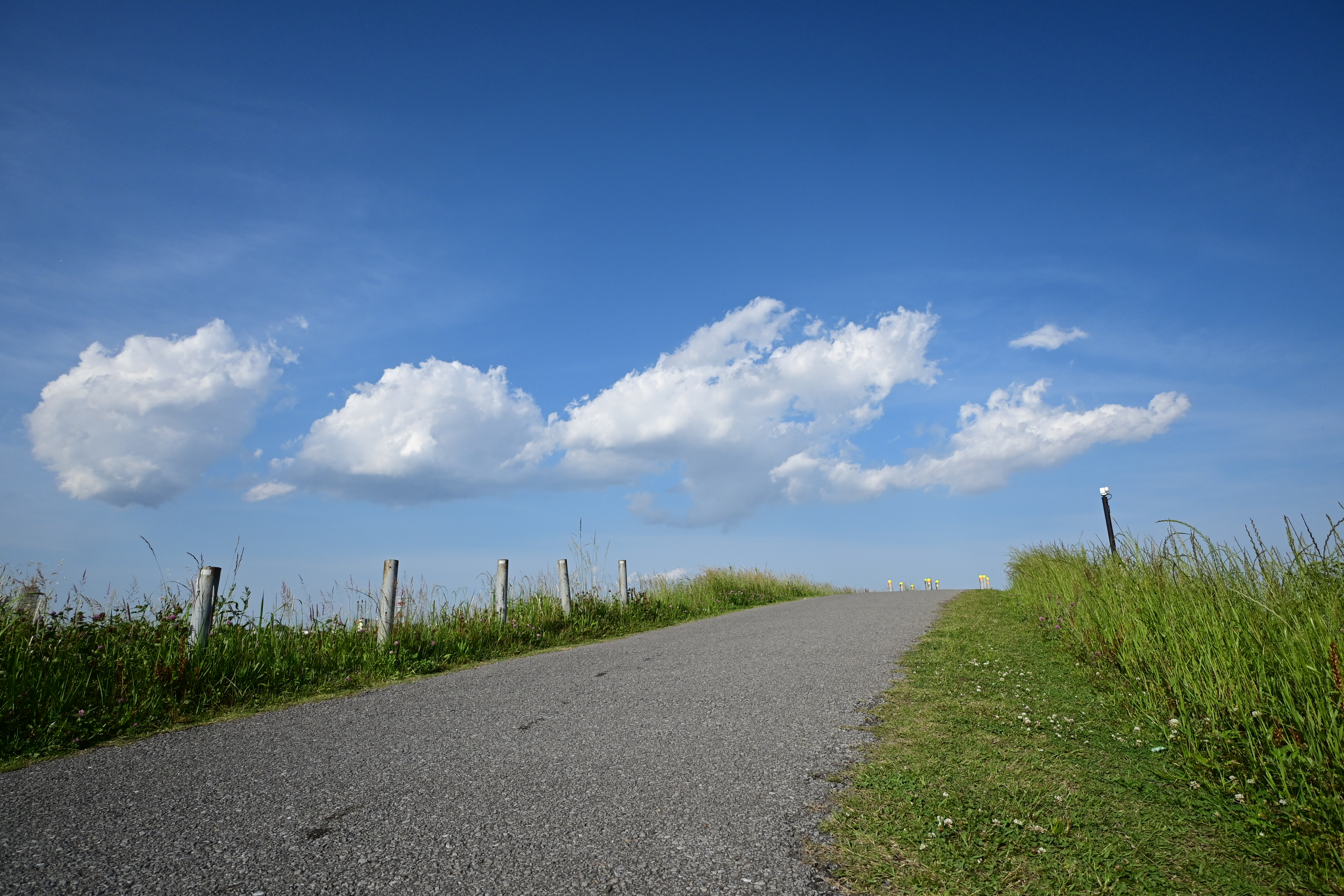 Z 30／NIKKOR Z DX 12-28mm f/3.5-5.6 PZ VR／12mm（18mm相当）／絞り優先AE（1/3,200秒・F4.0・+0.3EV）／ISO 200