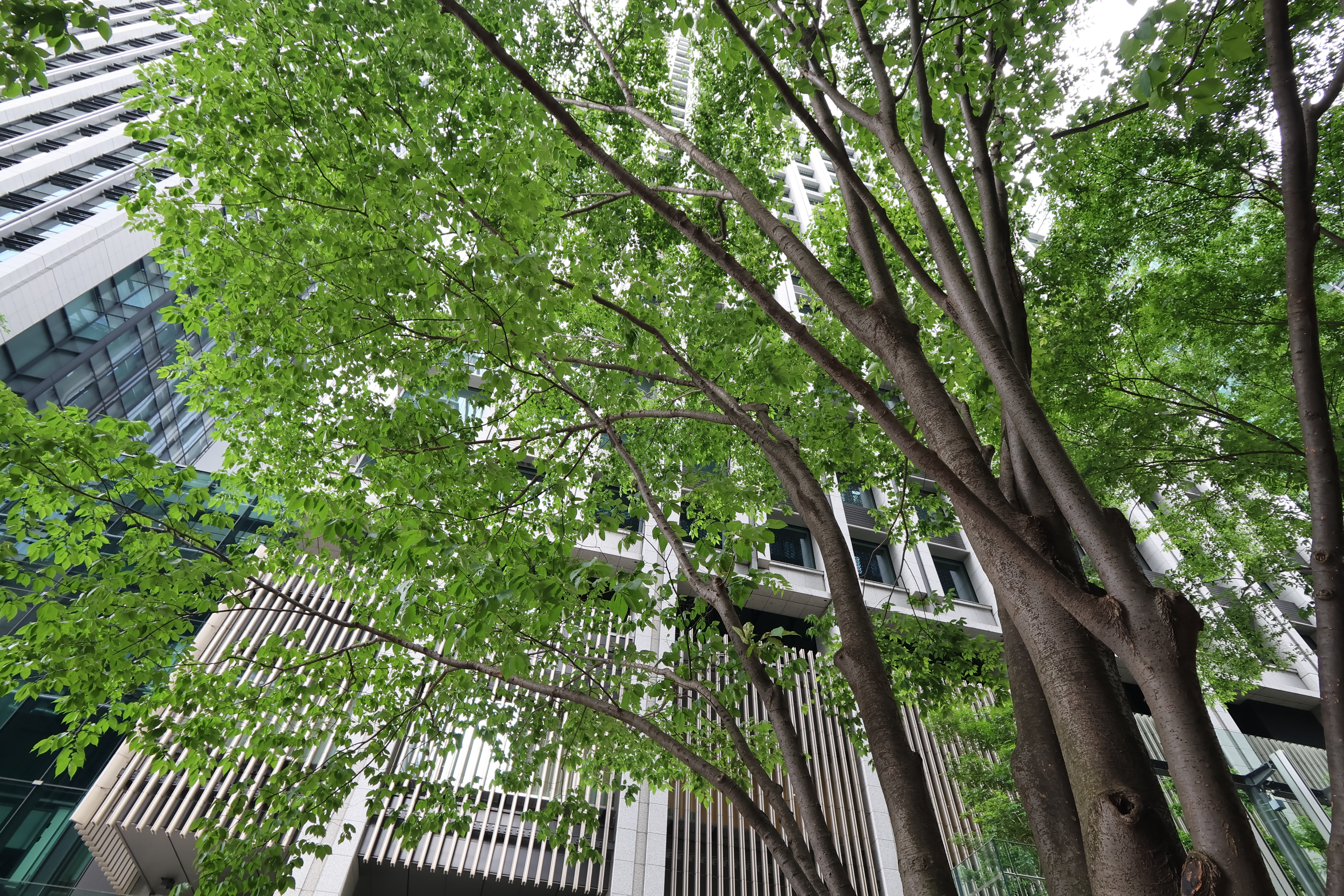 PowerShot V10／オートオート（1/64秒・F3.5）／ISO 125／WB: オート