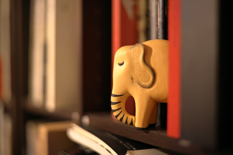 EF50mmF1.4 USMはミラーレスのEOS Rになってから頻繁に持ち出すようになりました。その理由はEOS一眼レフの位相差AFよりも正確に「フォーカスが合う」ことと、DLOが使えるから。別のレンズ使っている気分です。<br>EOS R8／EF50mm F1.4 USM／絞り優先AE（F1.6・1/320秒）／ISO 3200