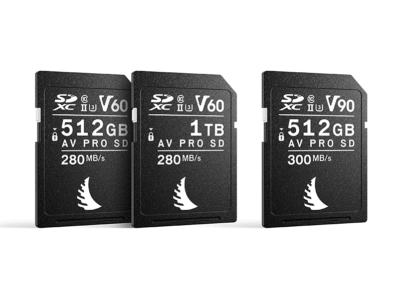 SDXC UHS-IIの「AV PRO SD MK2 V90」（右）と「AV PRO SD MK2 V60」。持続書込速度はそれぞれ260MB/秒、140MB/秒と公表されている