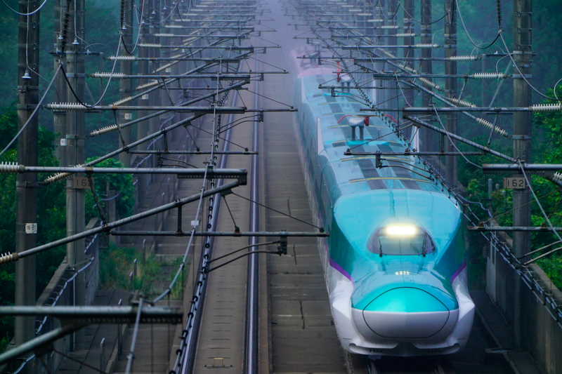 ソニーα9／FE 100-400mm F4.5-5.6 GM OSS + 2X Teleconverter／絞り優先オート（564mm・F11・1/2,000秒）／ISO 1600／WB:太陽光