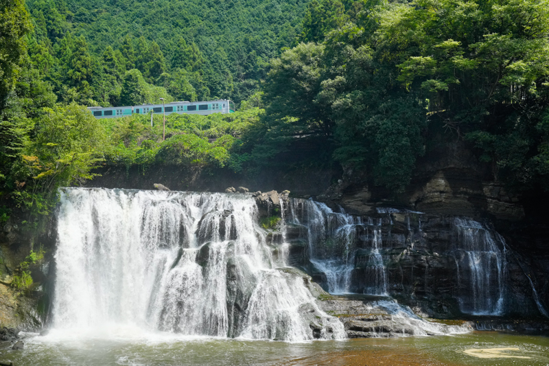 ソニーα1／FE 24-70mm F2.8 GM／絞り優先オート（41mm・F8・1/800秒）／ISO 800／WB:太陽光