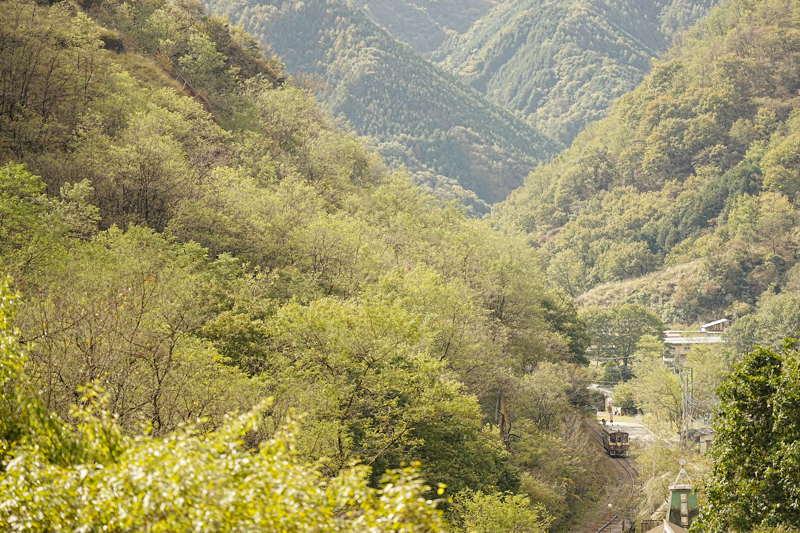 わたらせ渓谷鐵道は群馬県を走るイメージですが、足尾銅山をふくめた末端区間は栃木県なんです。そのなかでも旅情たっぷりなのが、終着駅の間藤駅付近。周囲には銅山に関連する建造物が多く残り、今は観光路線として有名なこの路線が、かつては鉱山運搬のための鉄道であったことを実感することができます。1980年代にはじめて訪ねたときは、鉱毒で草木が枯れ丸裸だった山々も、美しい新緑で覆われるようになりました。その美しさに、時代の流れを強く感じました。（わたらせ渓谷鐵道 間藤駅付近）<br>ソニーα1／FE 70-200mm F2.8 GM OSS II／絞り優先オート（152mm・F2.8・1/1,600秒）／ISO 400／WB:日陰　<a href="https://goo.gl/maps/u7Yq9Bm2VGuRko2K6" class="n" target="_blank">[Google Maps]</a>