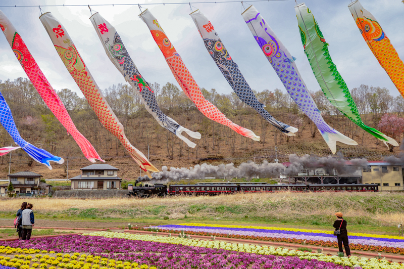 ニコンDf／AF-S NIKKOR 16-35mm f/4G ED VR／絞り優先オート（22mm・F4・1/320秒）／ISO 200／WB:晴天日陰