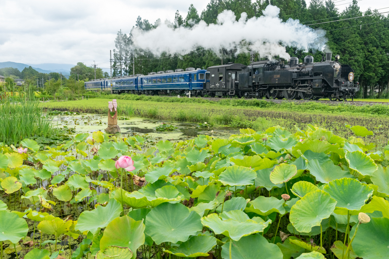 ソニーα1／FE 16-35mm F2.8 GM／絞り優先オート（26mm・F8・1/500秒）／ISO 1600／WB:日陰